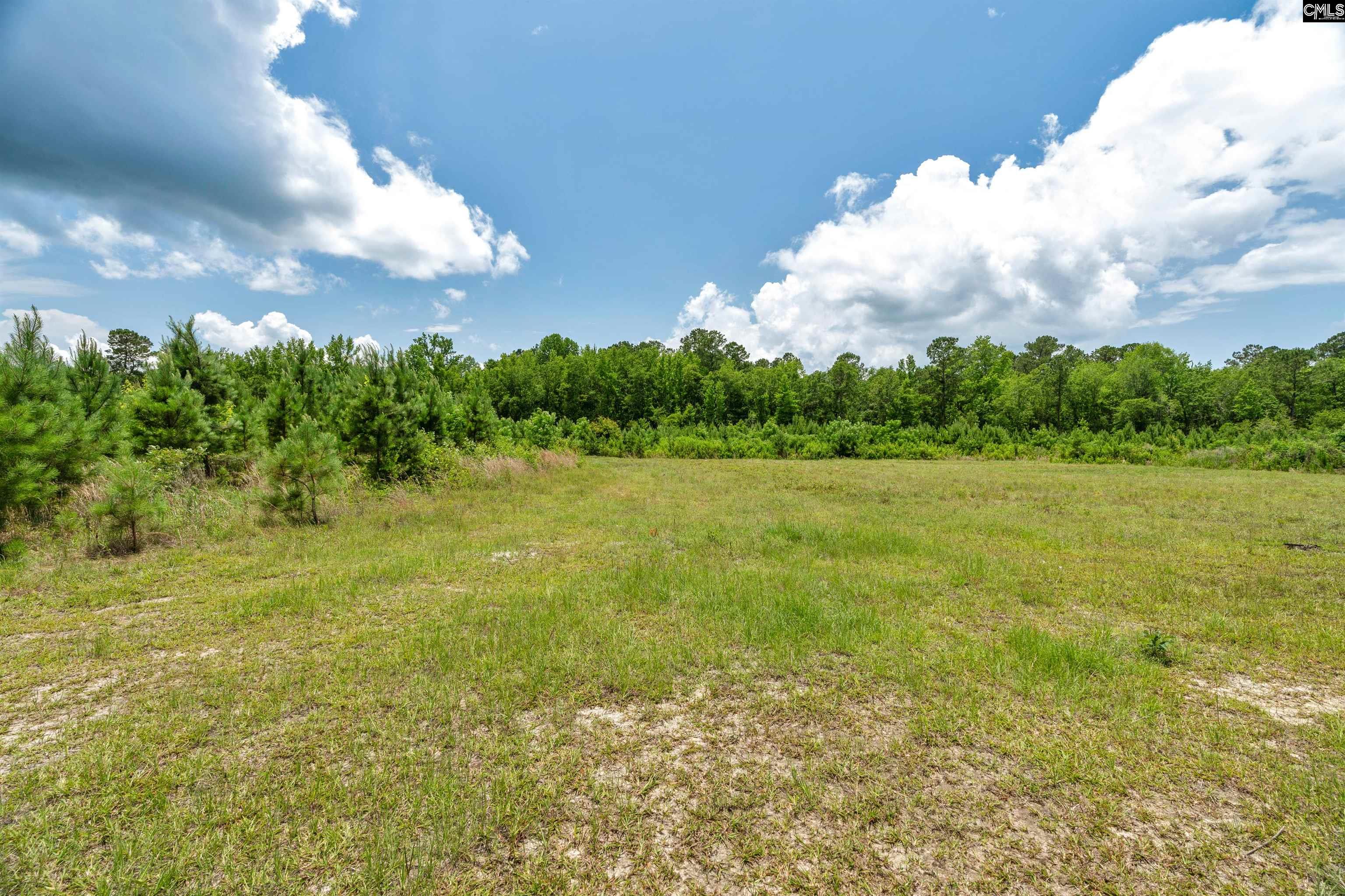 0000 N Brewington Manning, SC 29102