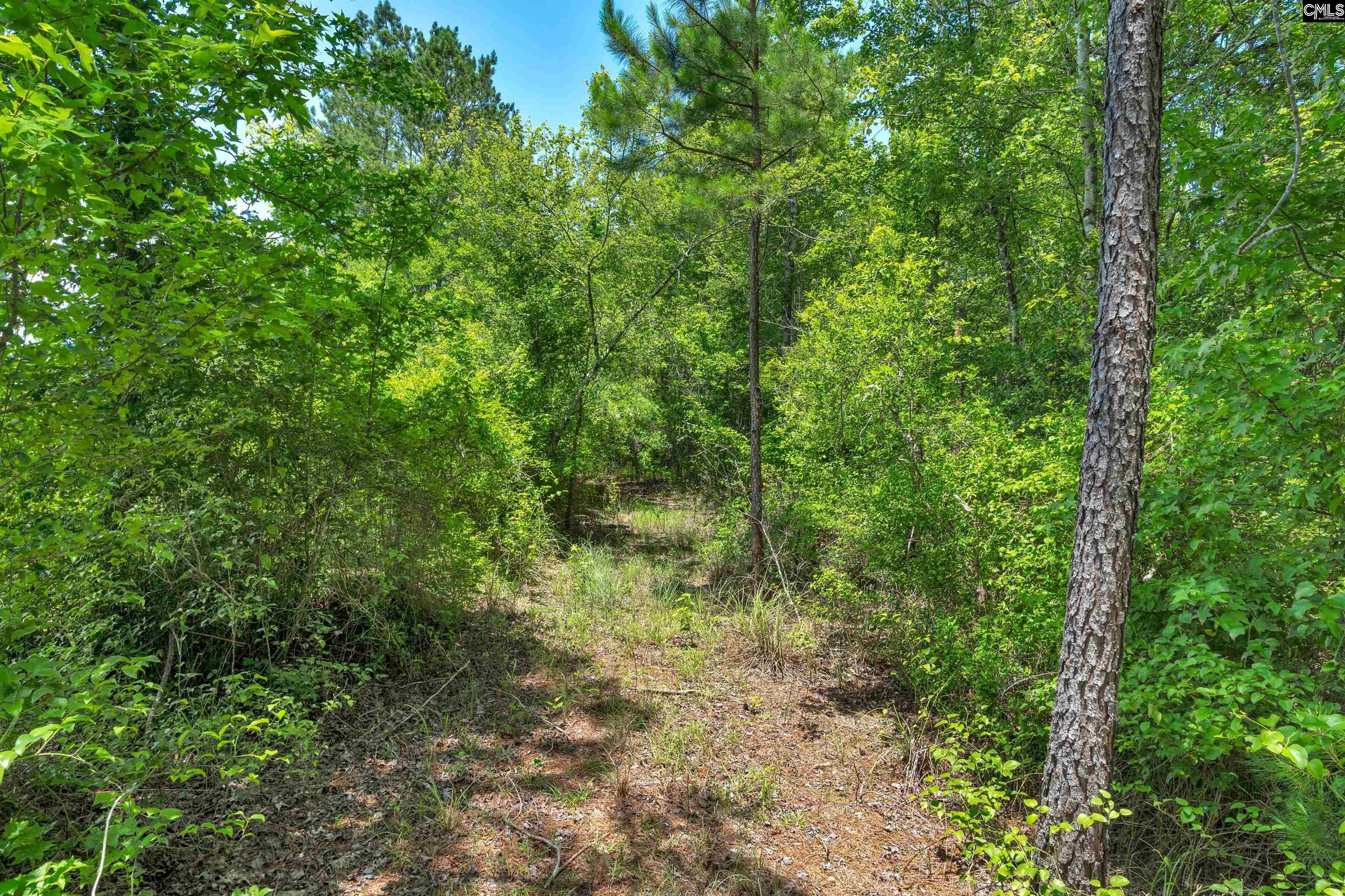 0000 N Brewington Manning, SC 29102