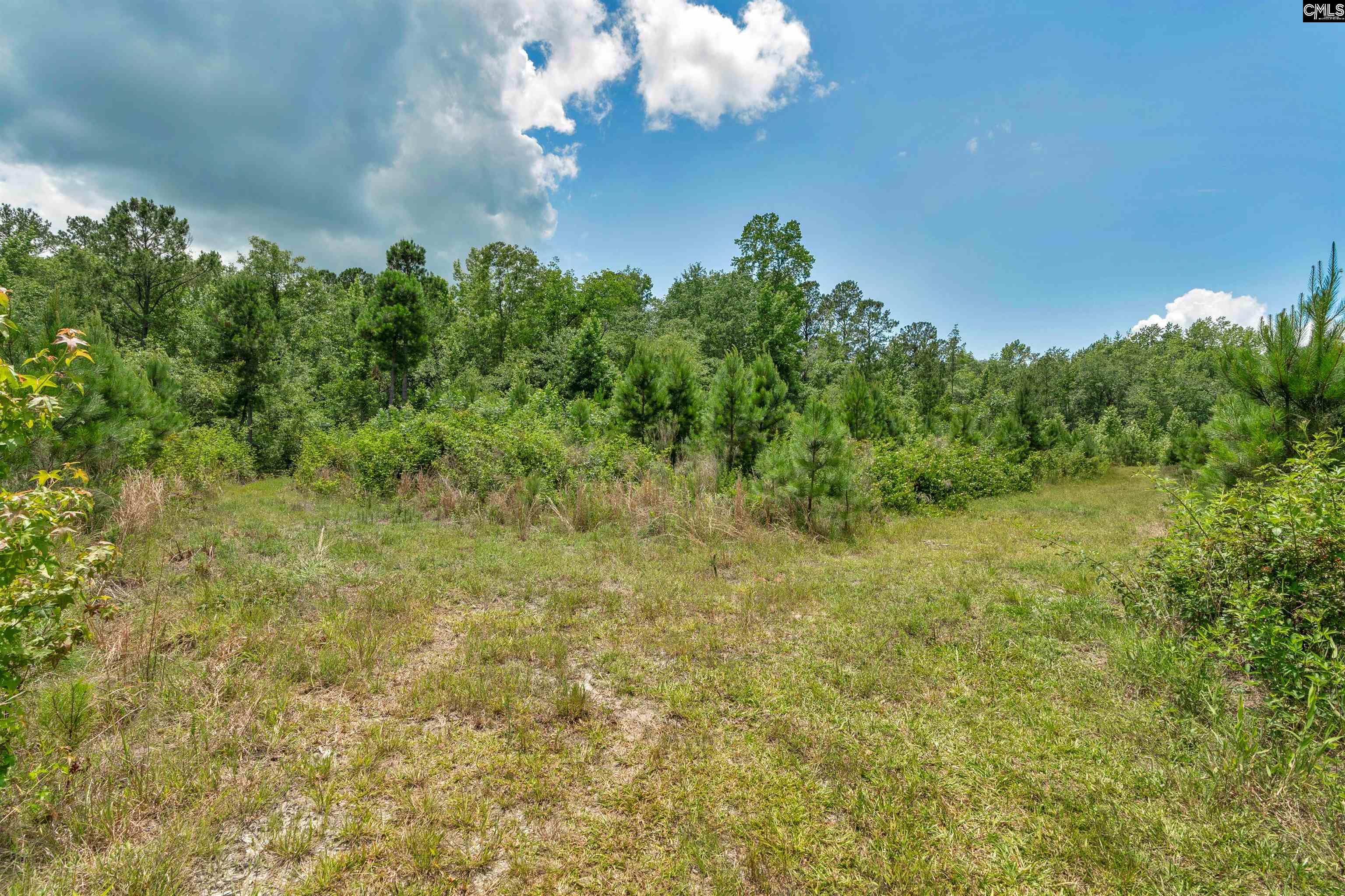 0000 N Brewington Manning, SC 29102