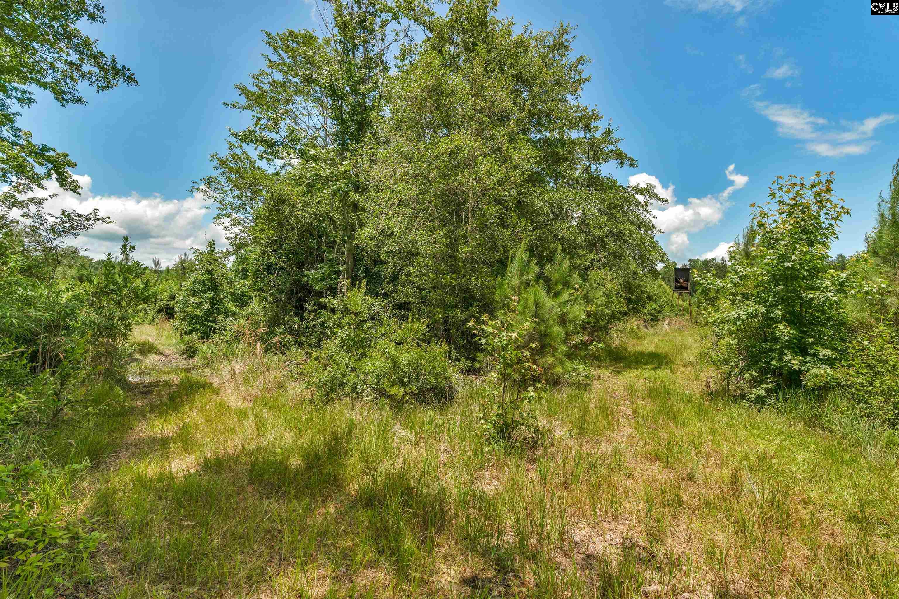 0000 N Brewington Manning, SC 29102
