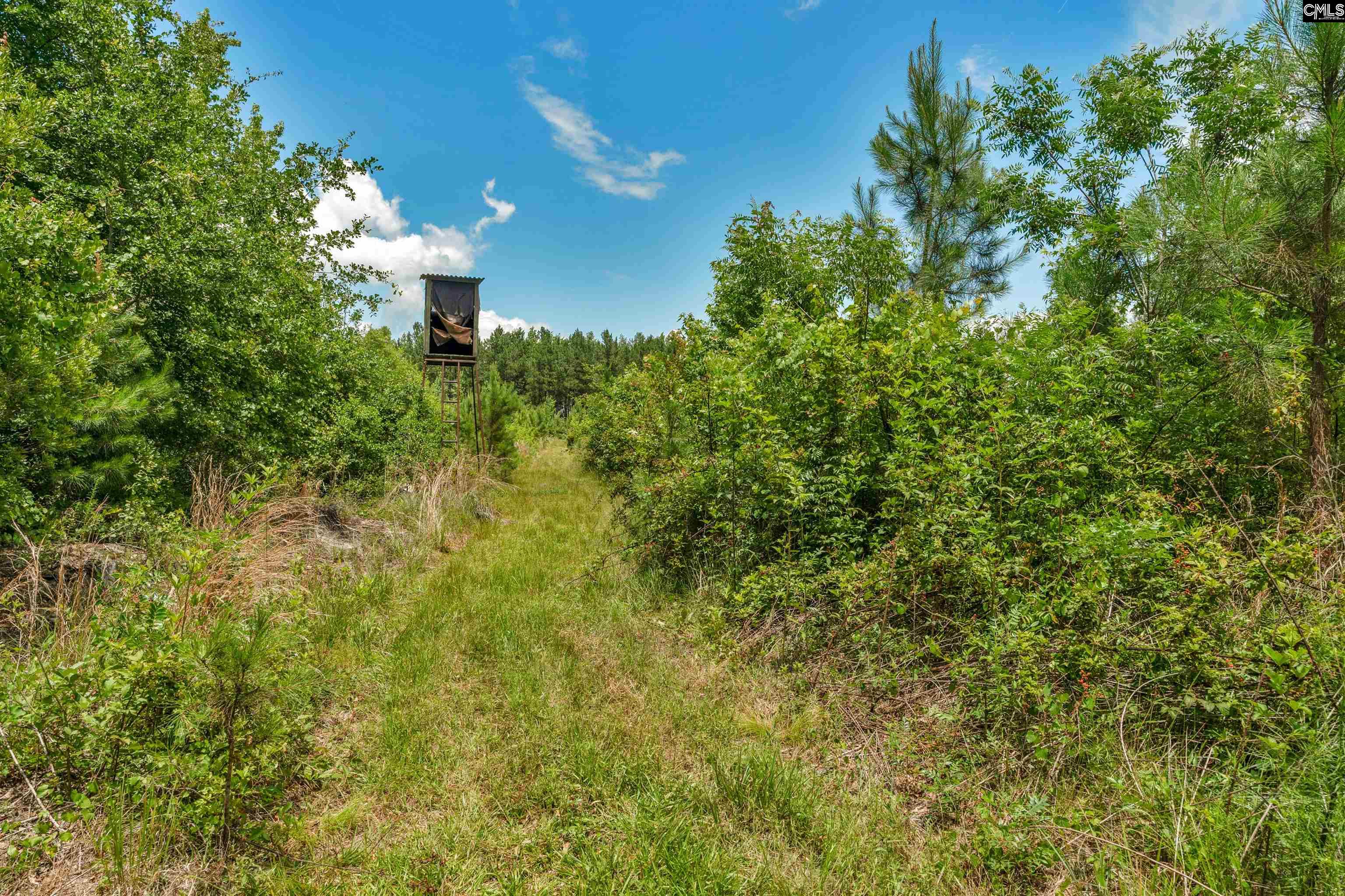 0000 N Brewington Manning, SC 29102