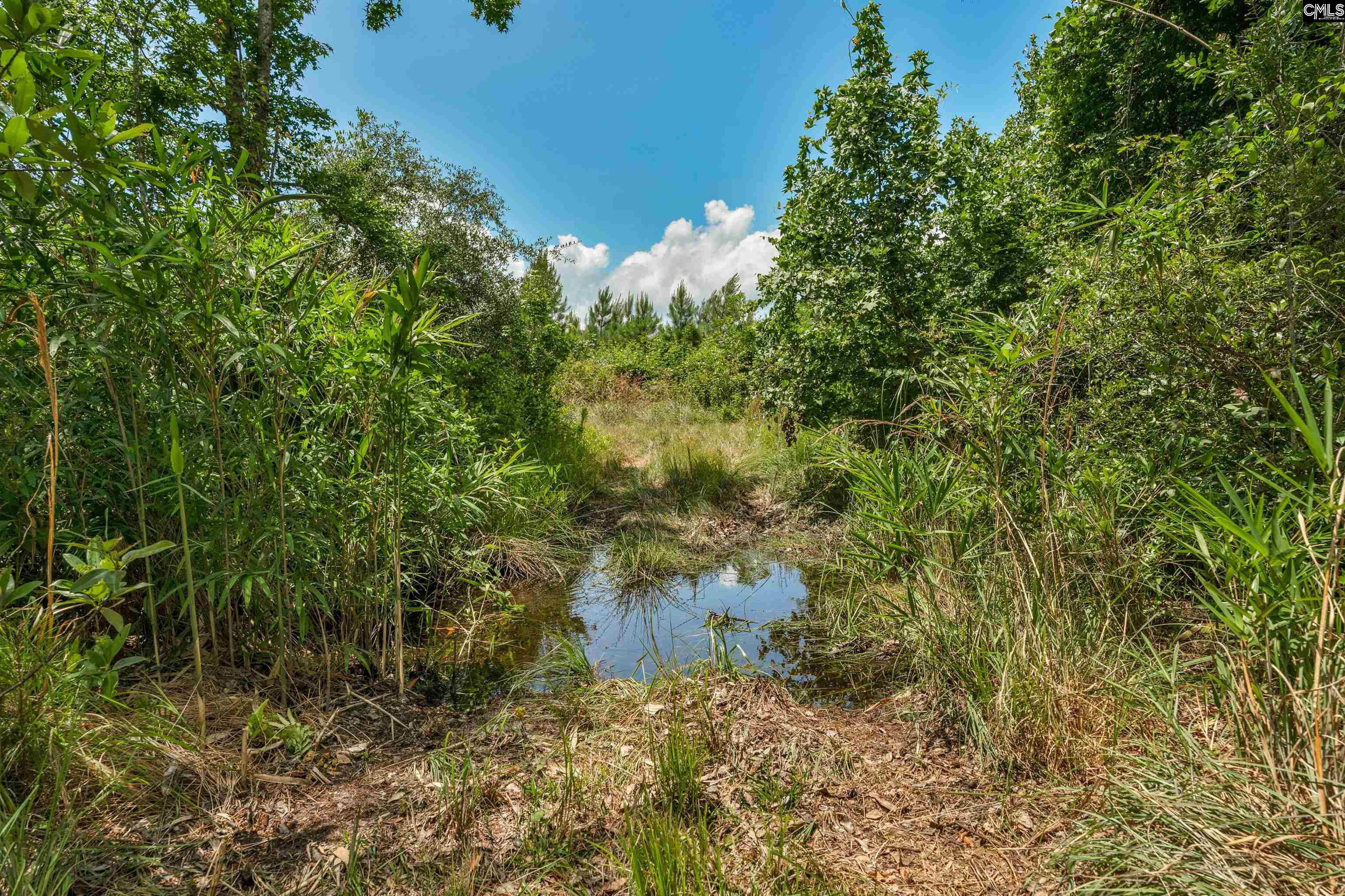 0000 N Brewington Manning, SC 29102