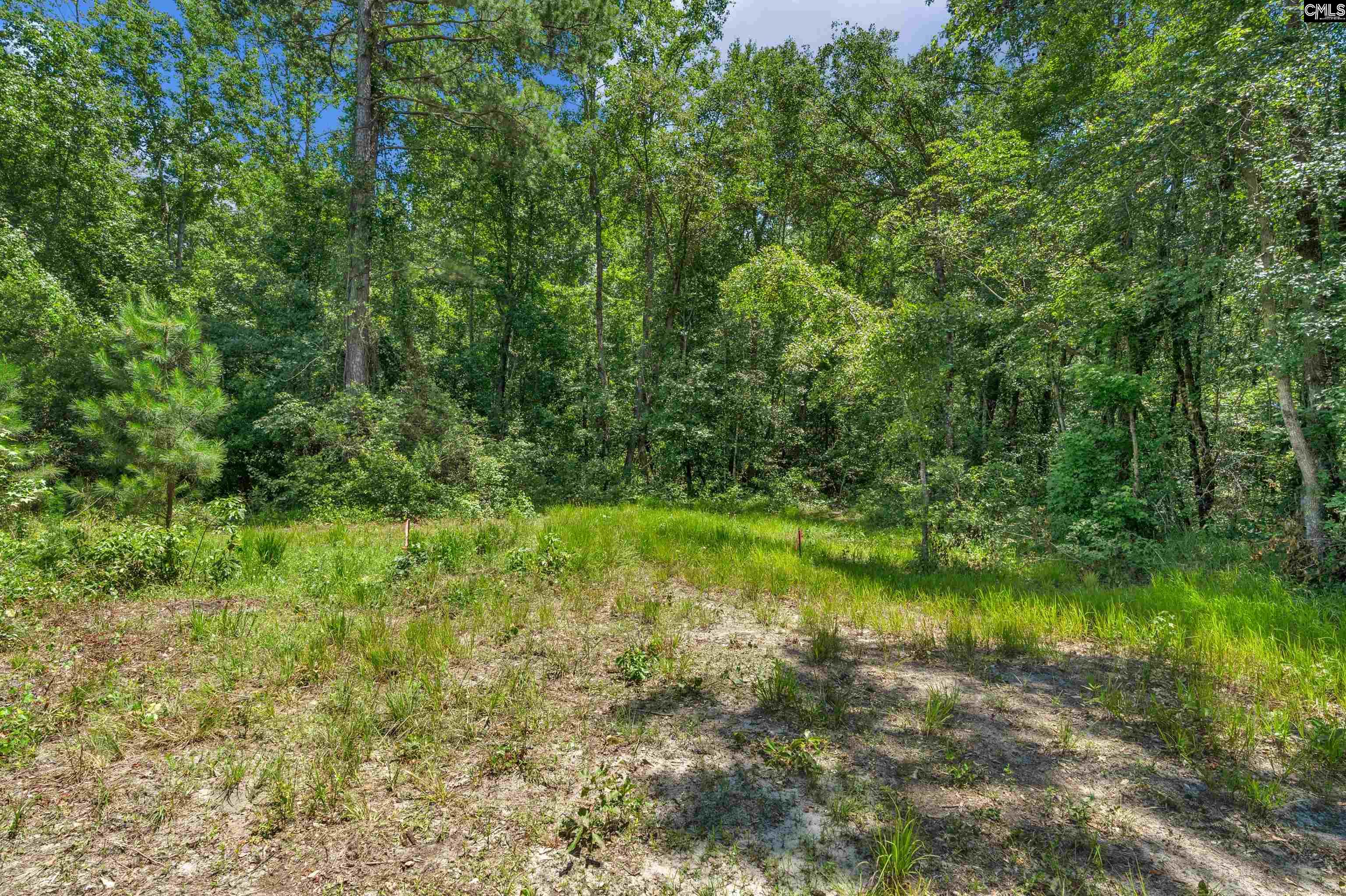 0000 N Brewington Manning, SC 29102