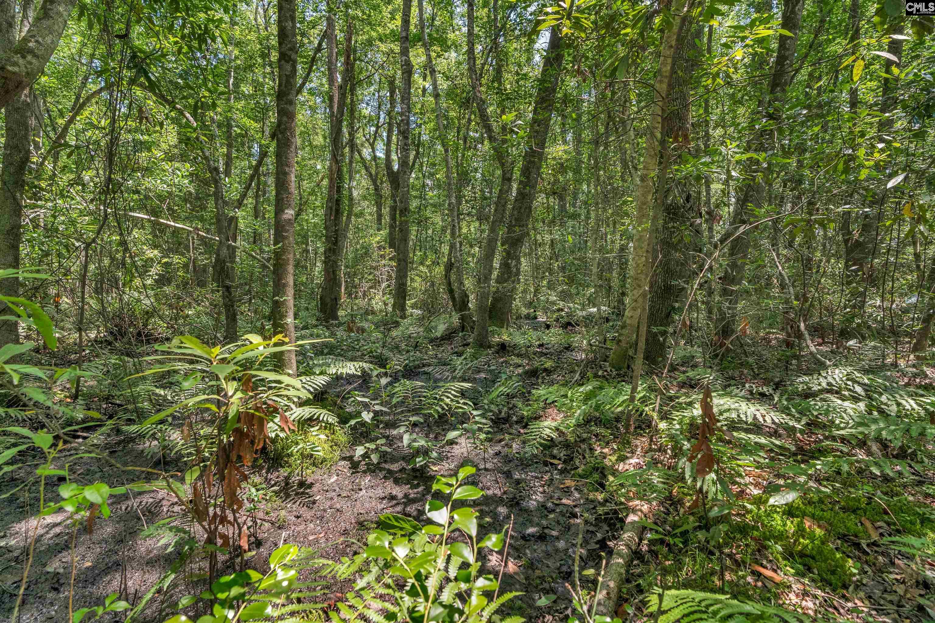 0000 N Brewington Manning, SC 29102