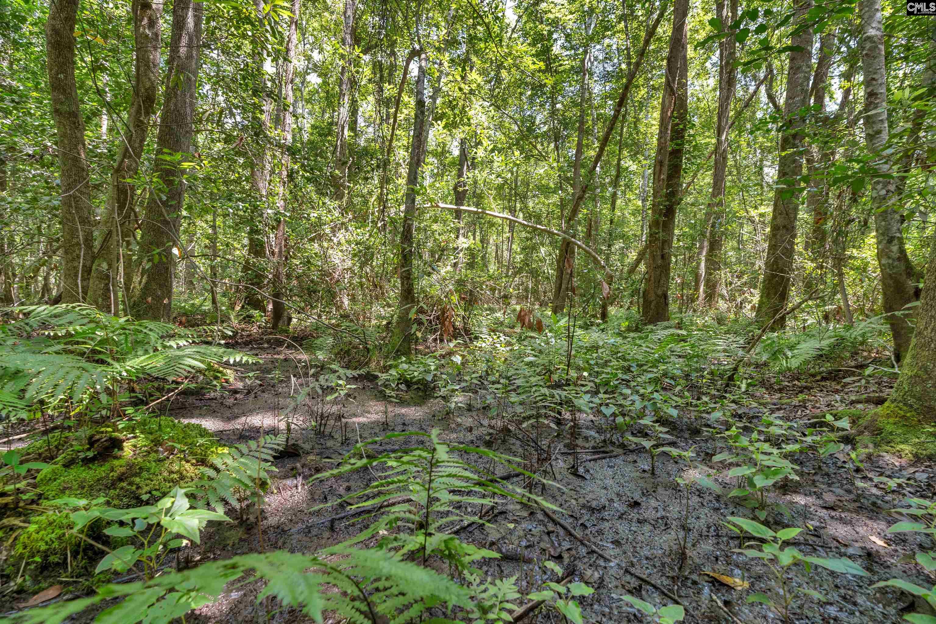 0000 N Brewington Manning, SC 29102