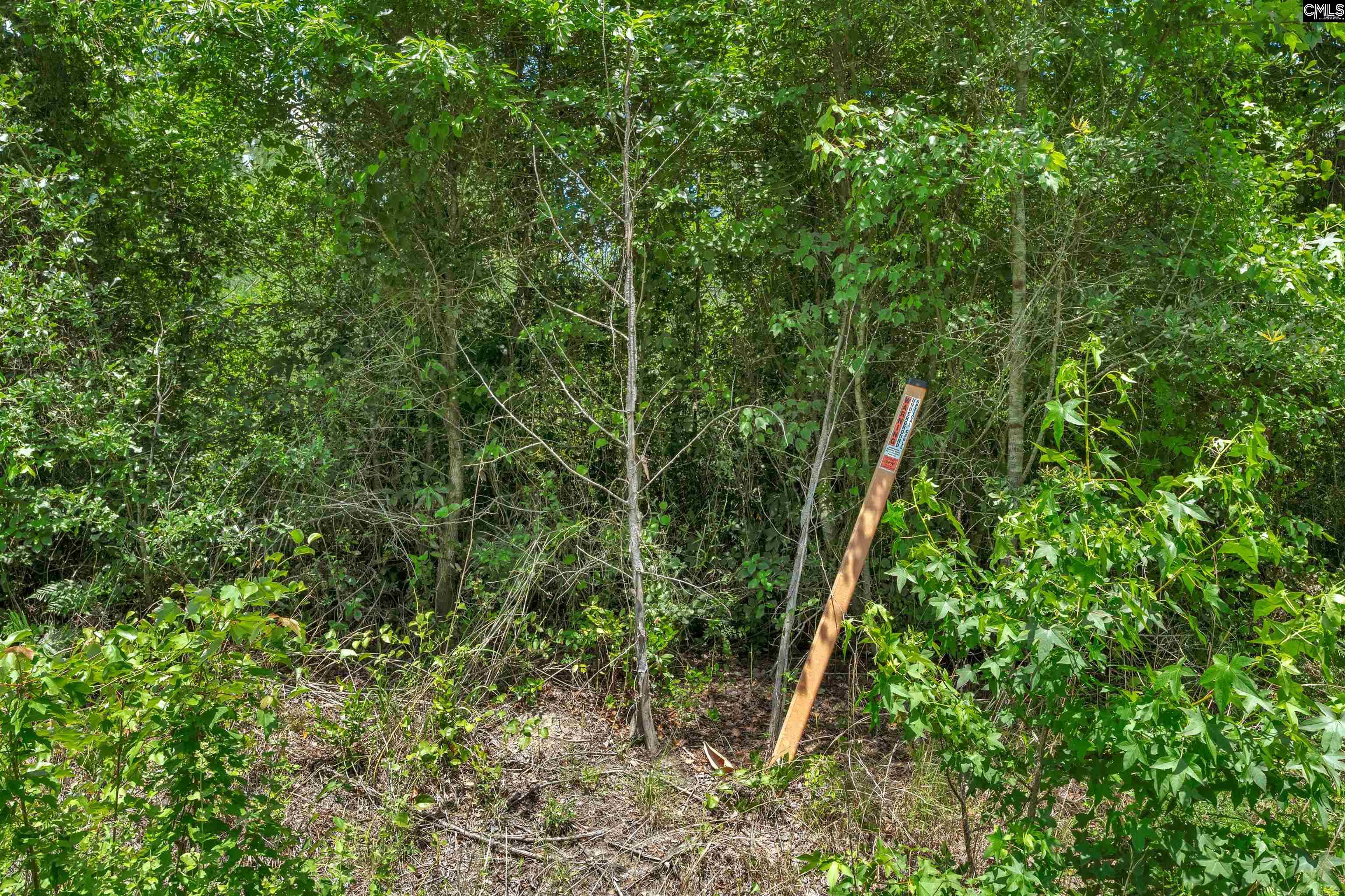 0000 N Brewington Manning, SC 29102