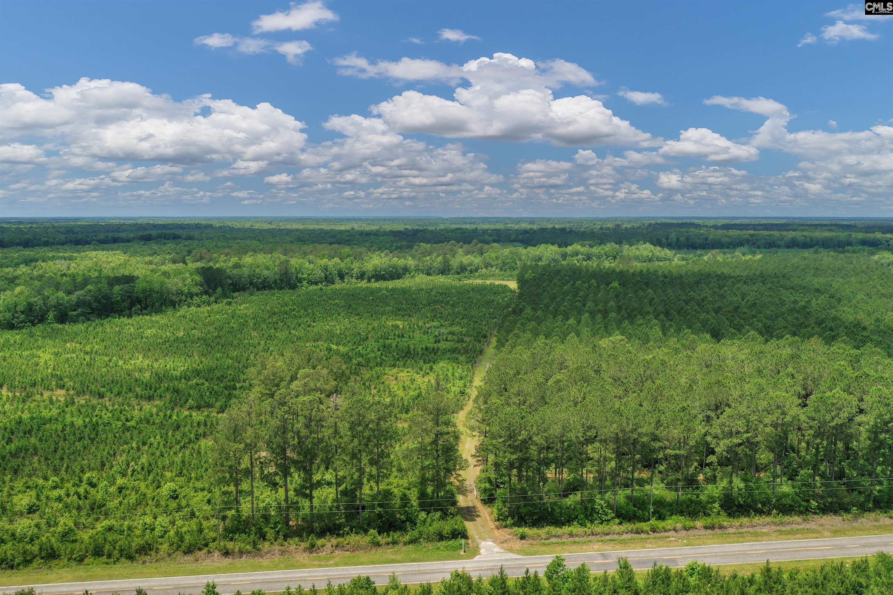0000 N Brewington Manning, SC 29102