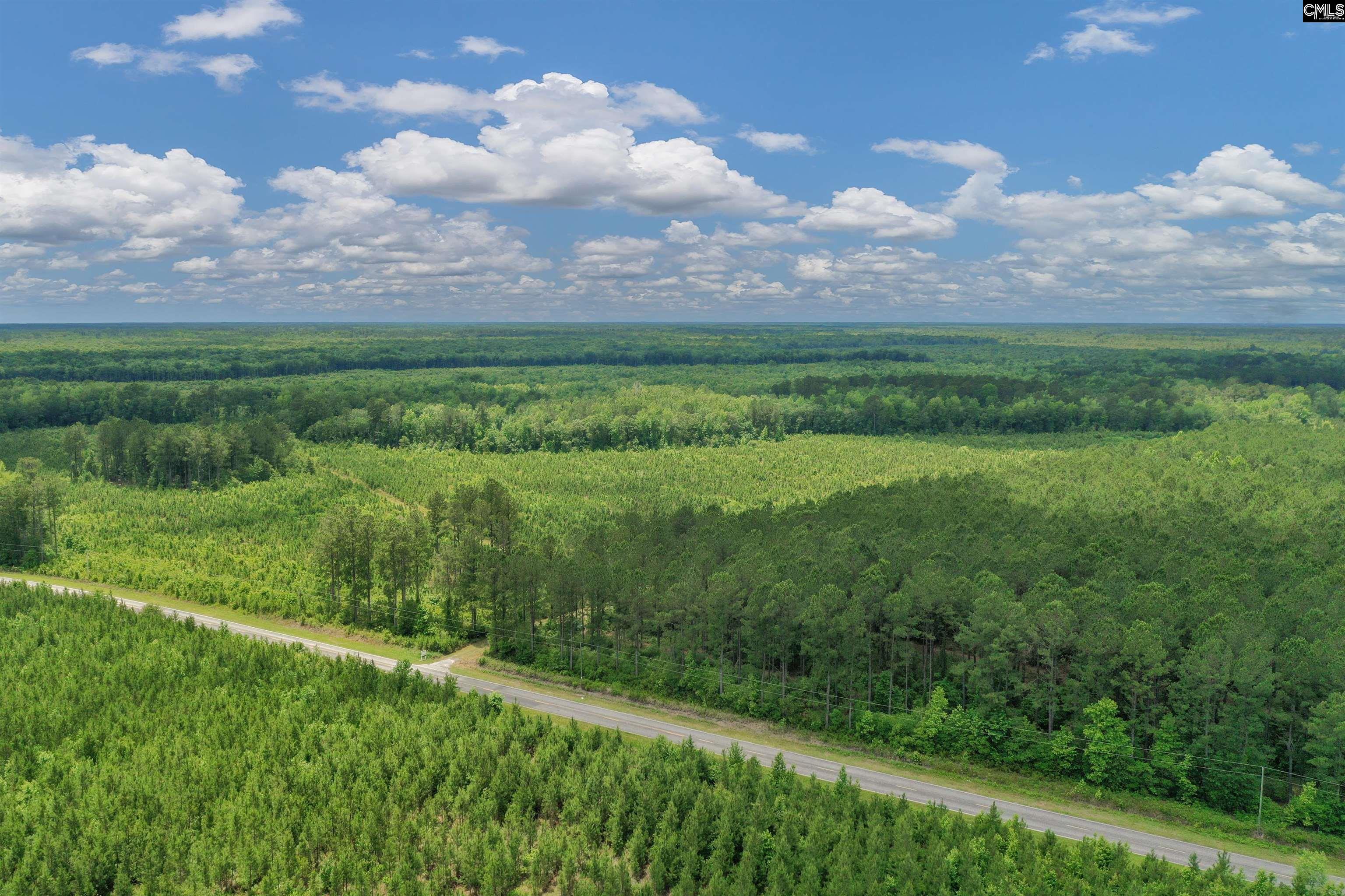 0000 N Brewington Manning, SC 29102