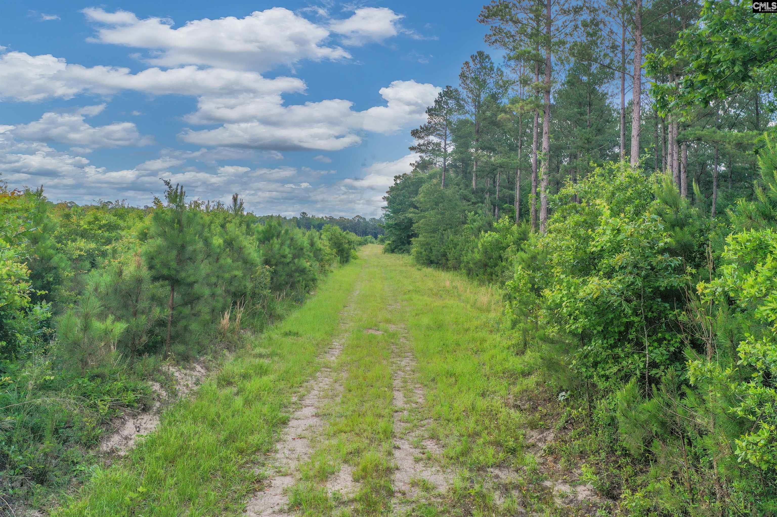 N Brewington #3, Manning, South Carolina image 1