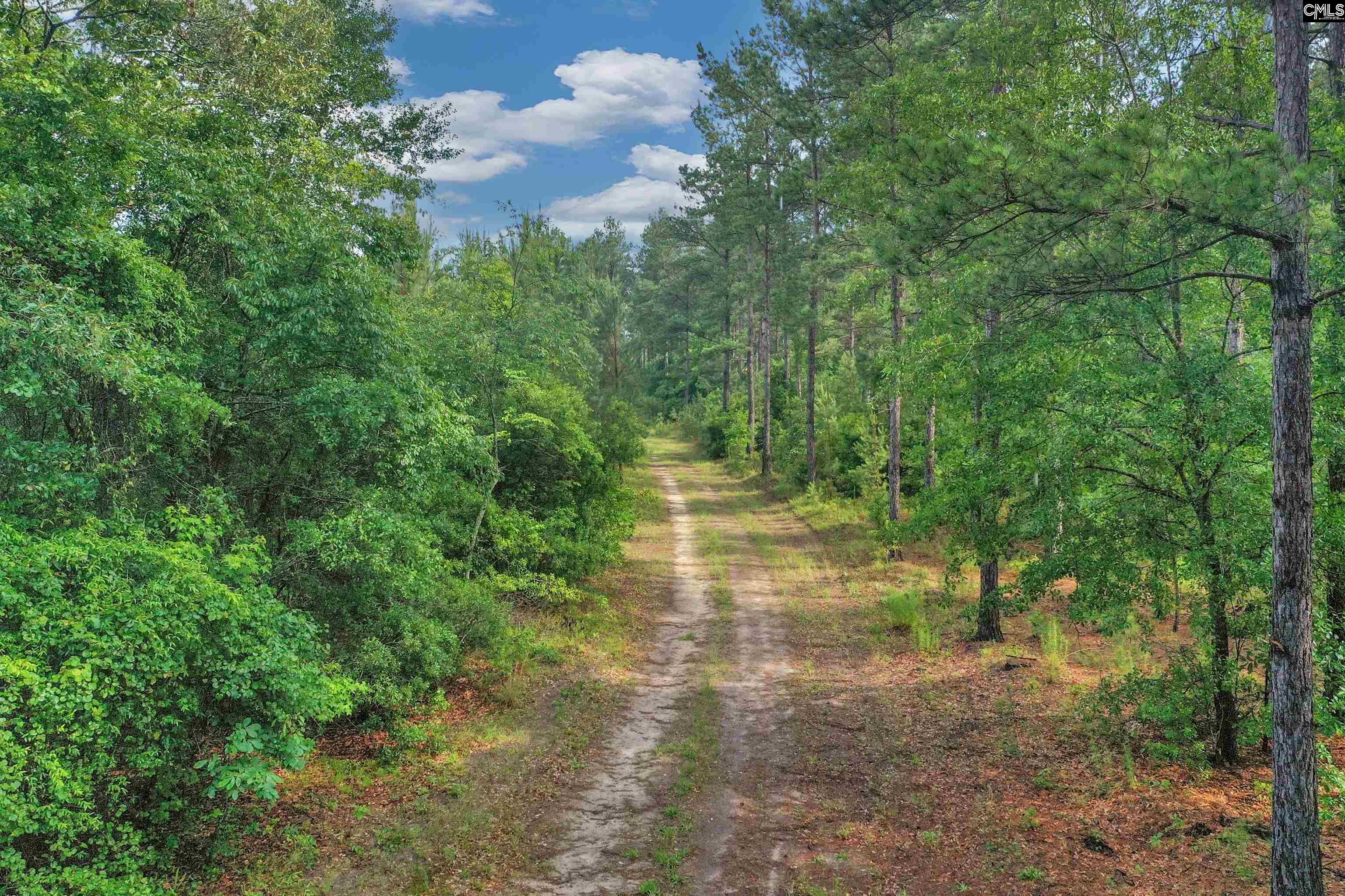 N Brewington #3, Manning, South Carolina image 17