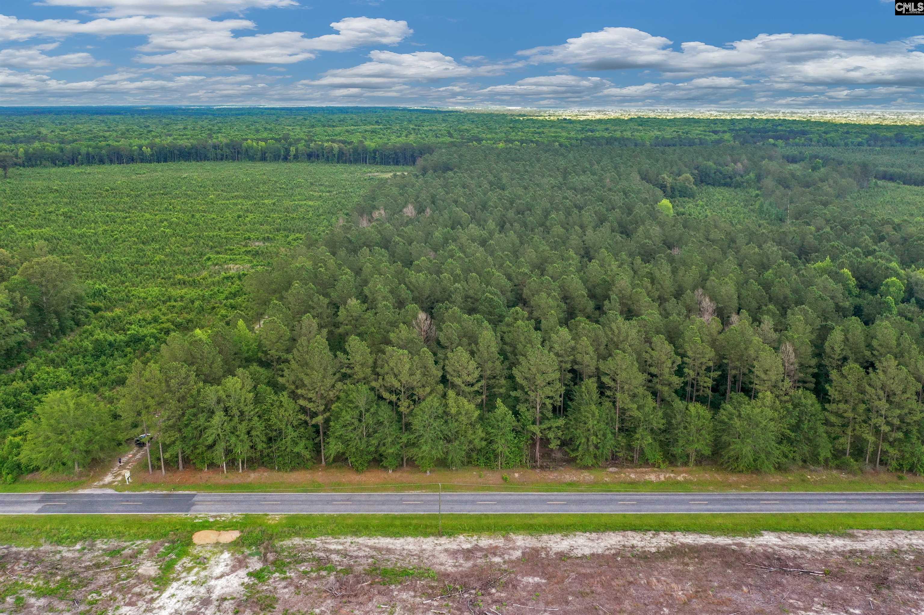 N Brewington #3, Manning, South Carolina image 3