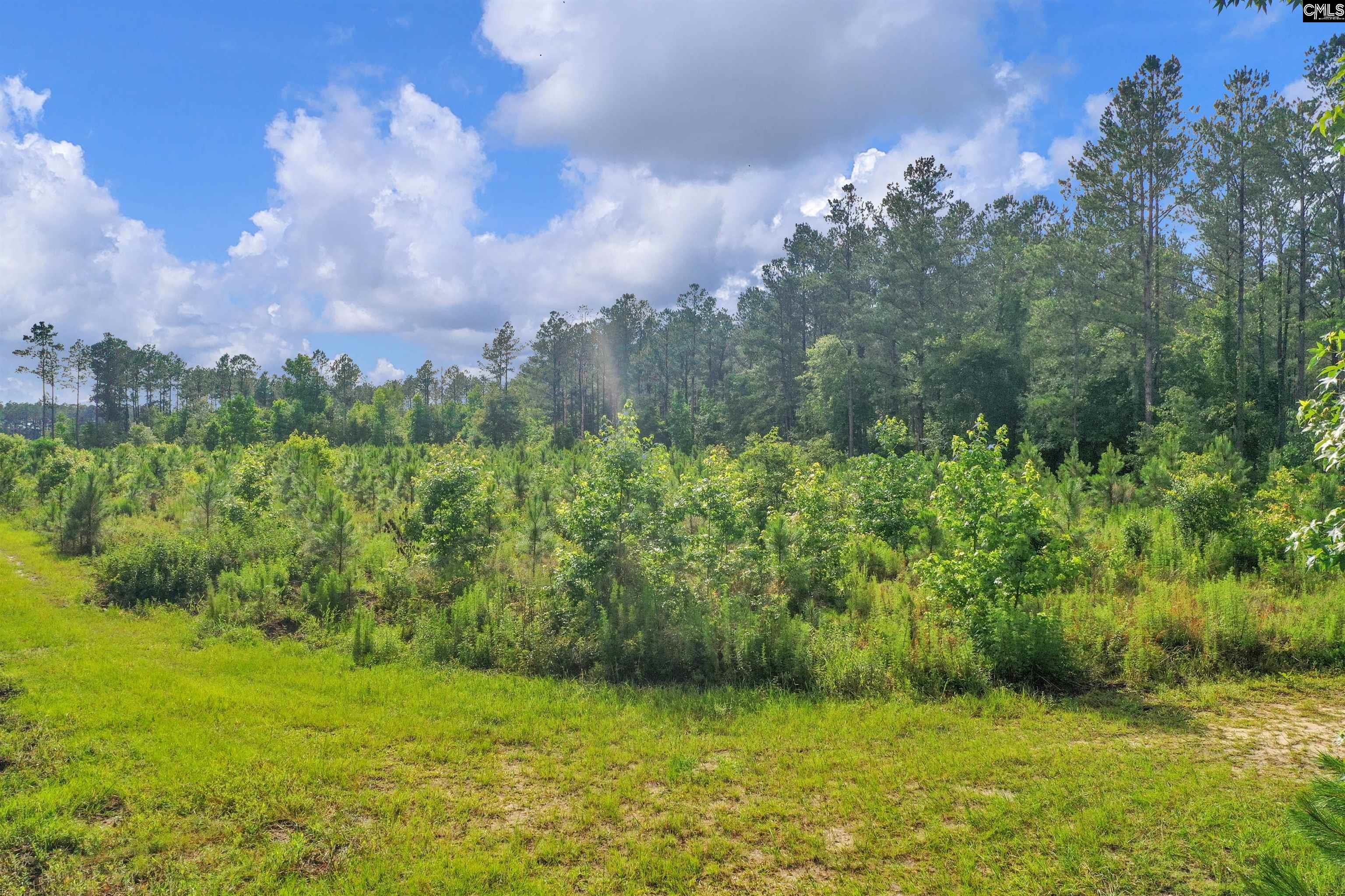 N Brewington #3, Manning, South Carolina image 21