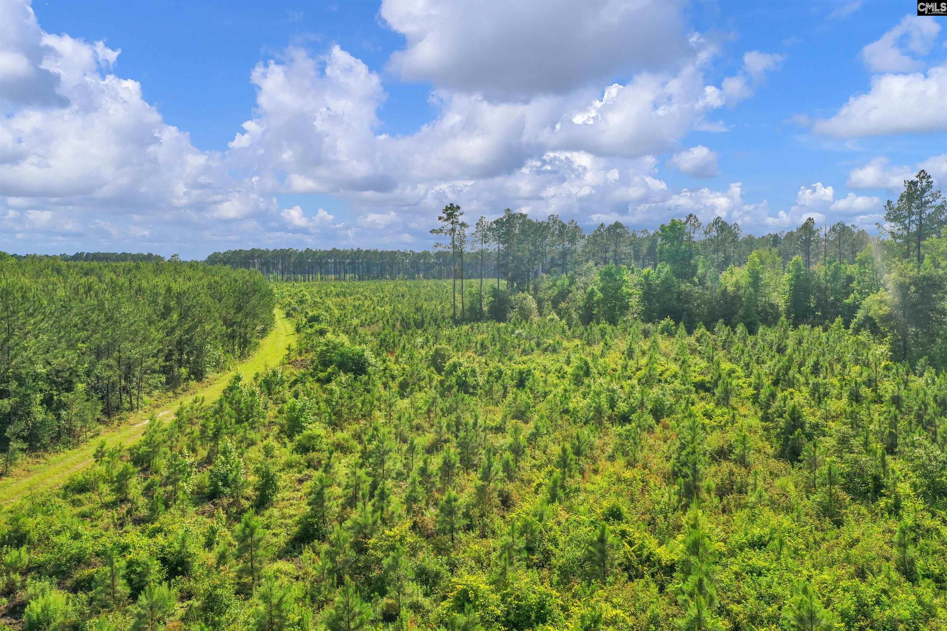 N Brewington #3, Manning, South Carolina image 24