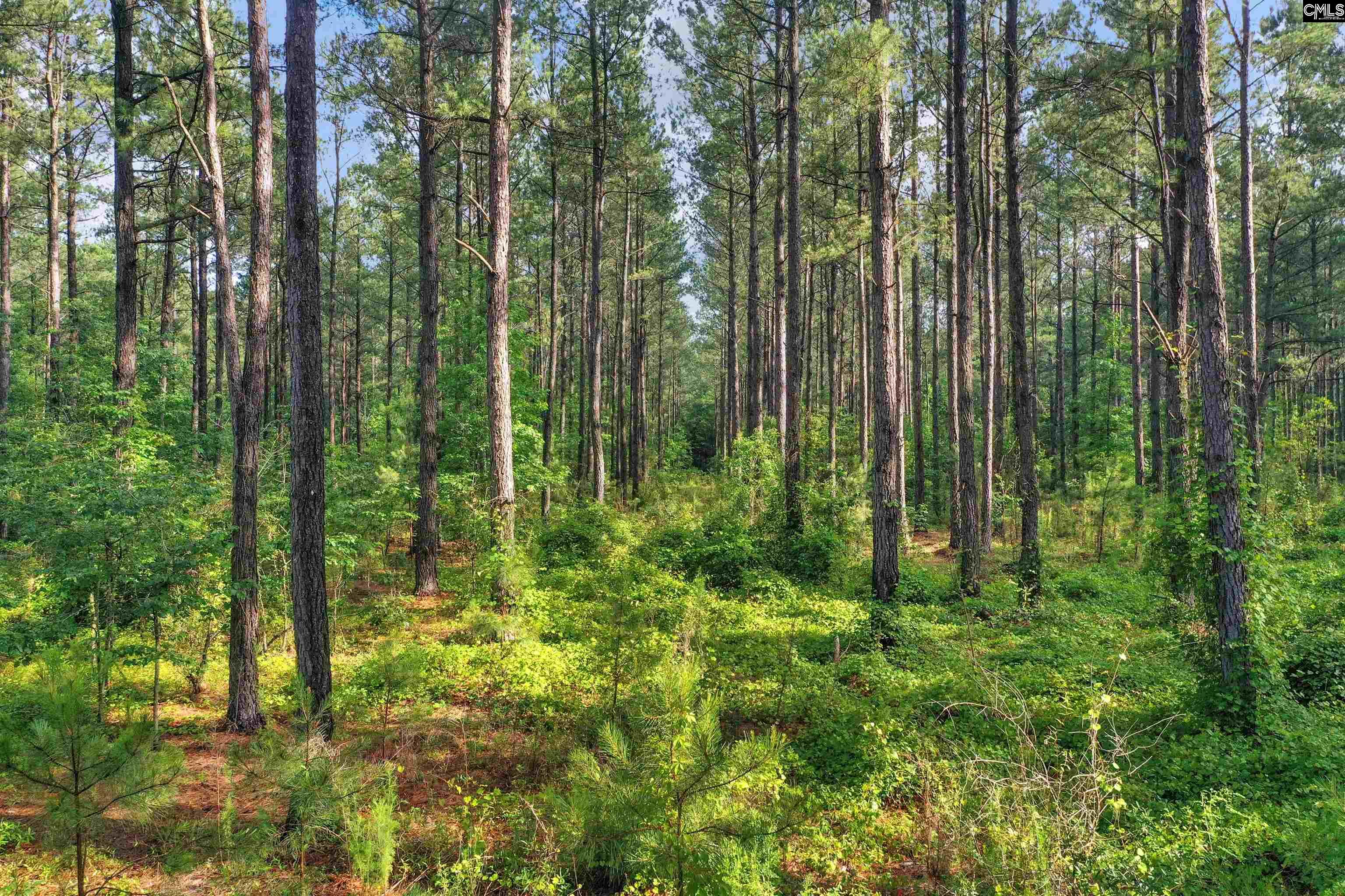 N Brewington #3, Manning, South Carolina image 26