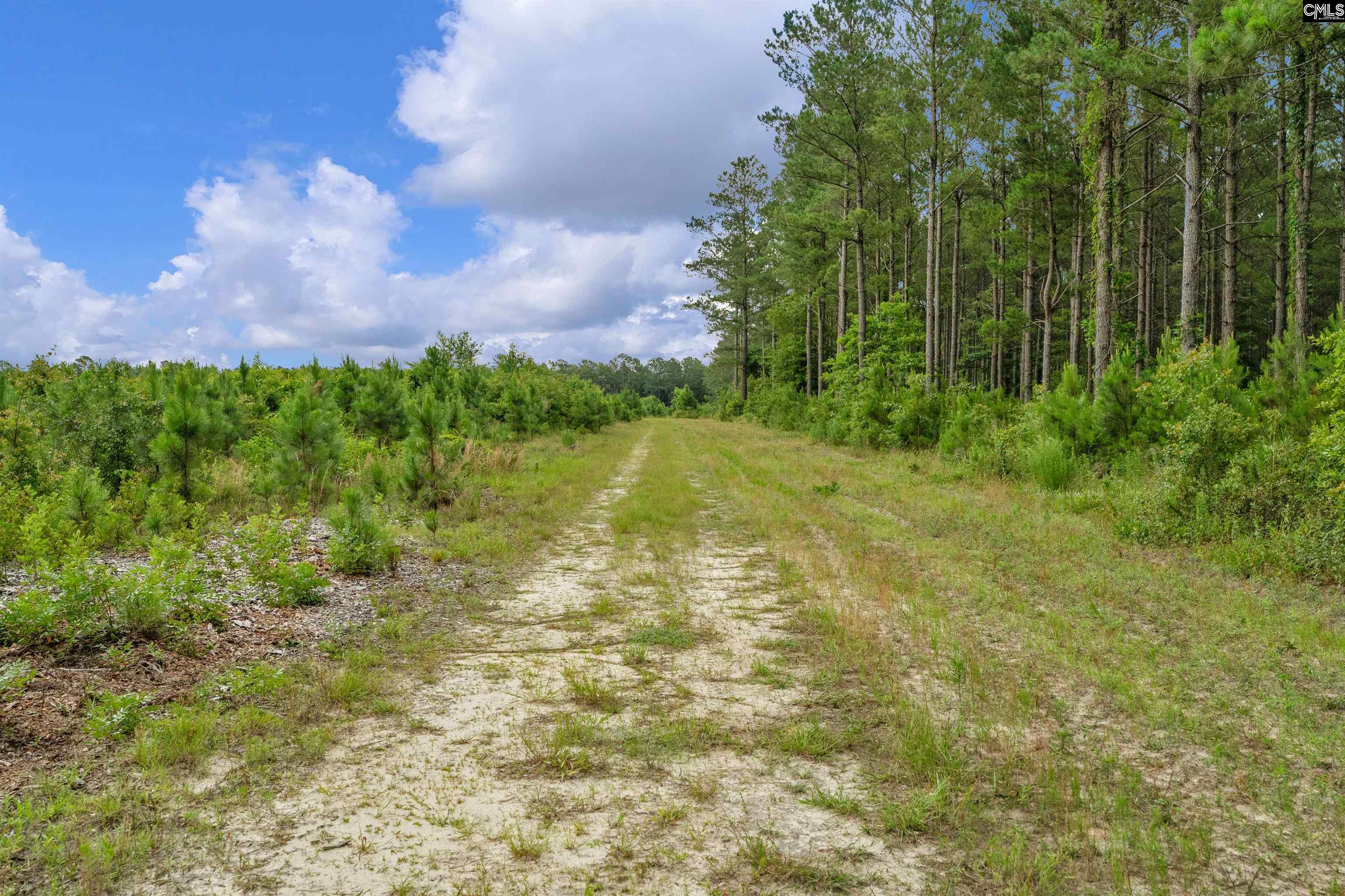 N Brewington #3, Manning, South Carolina image 35