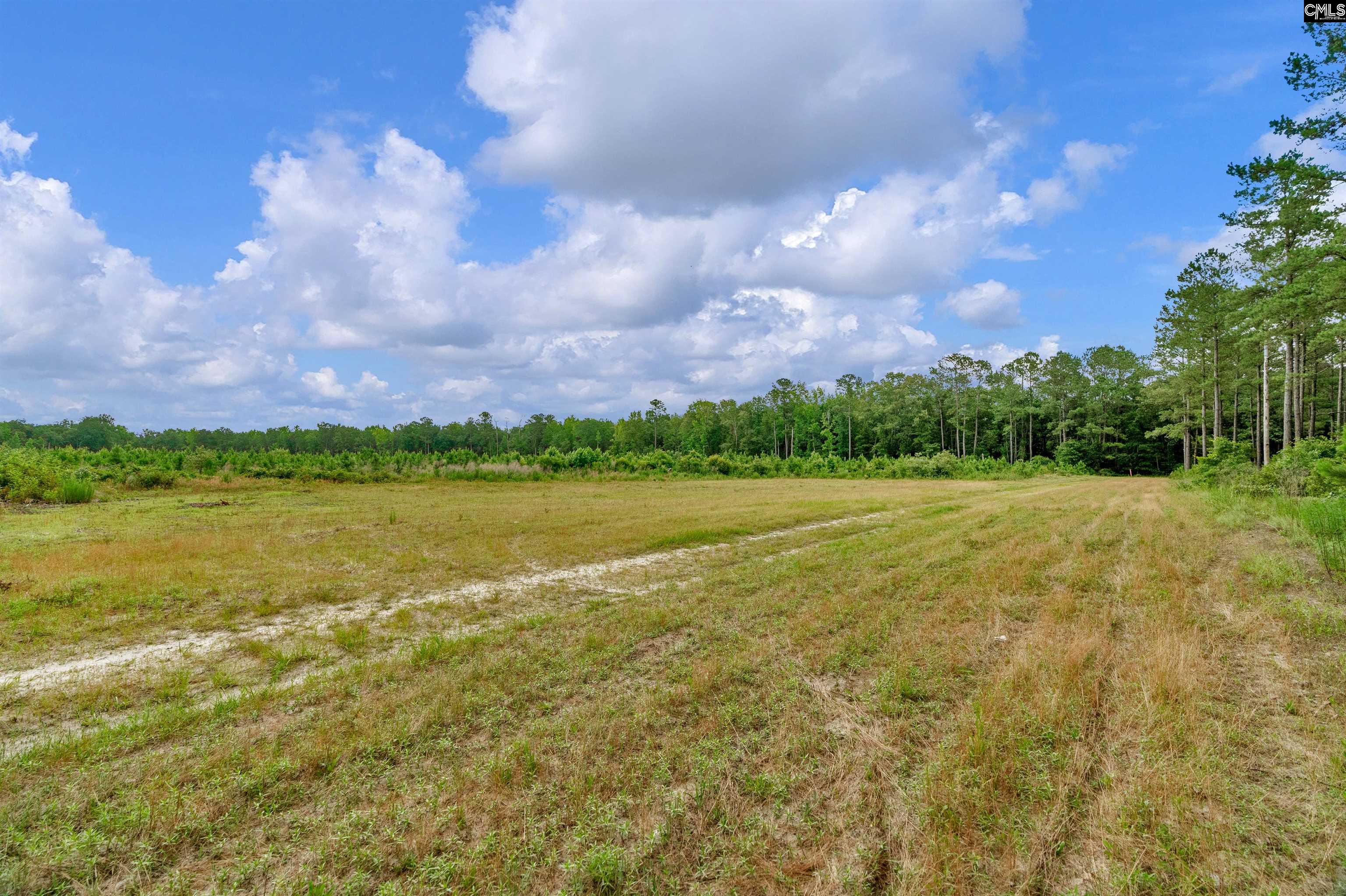 N Brewington #3, Manning, South Carolina image 37