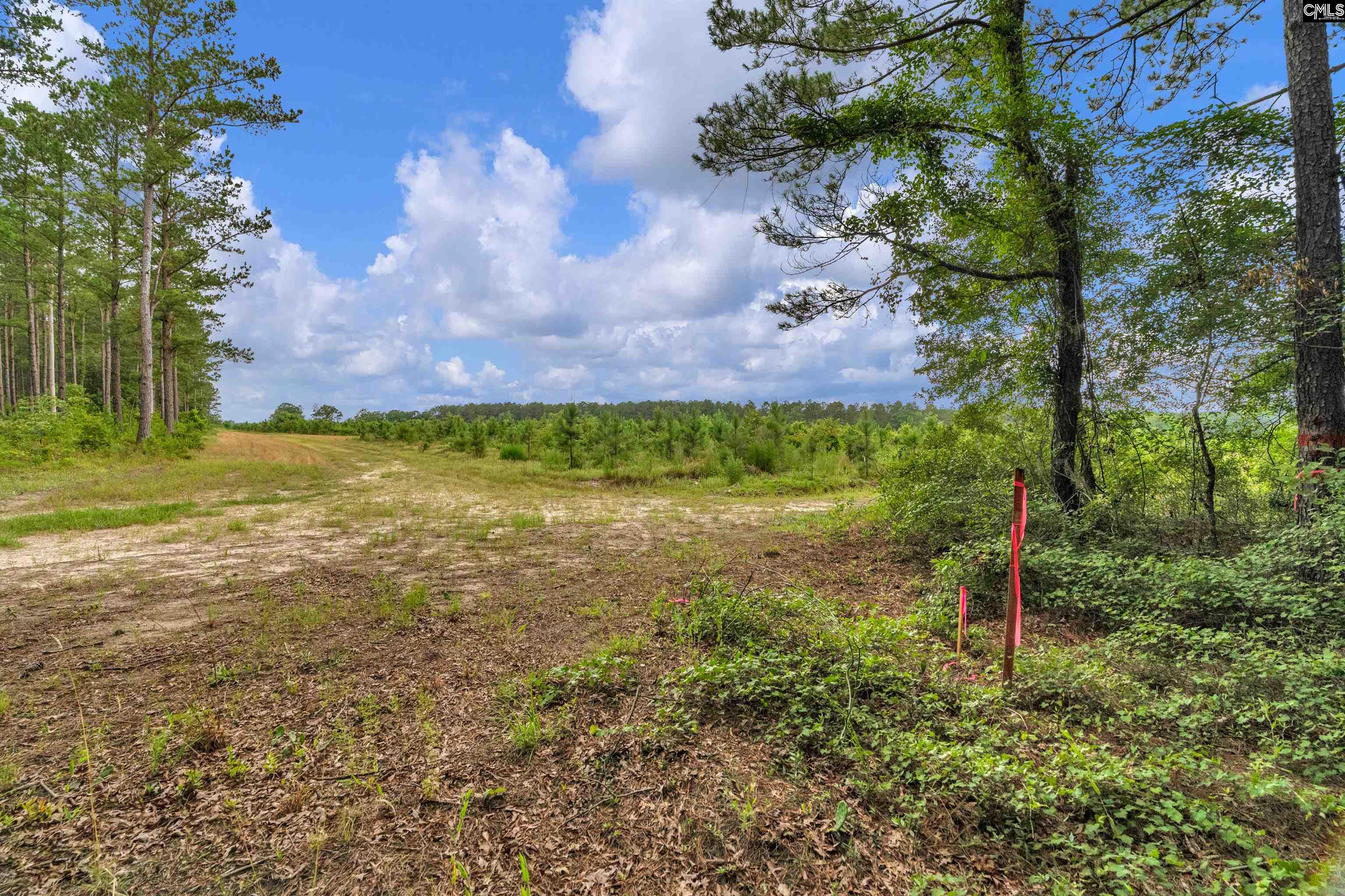 N Brewington #3, Manning, South Carolina image 38
