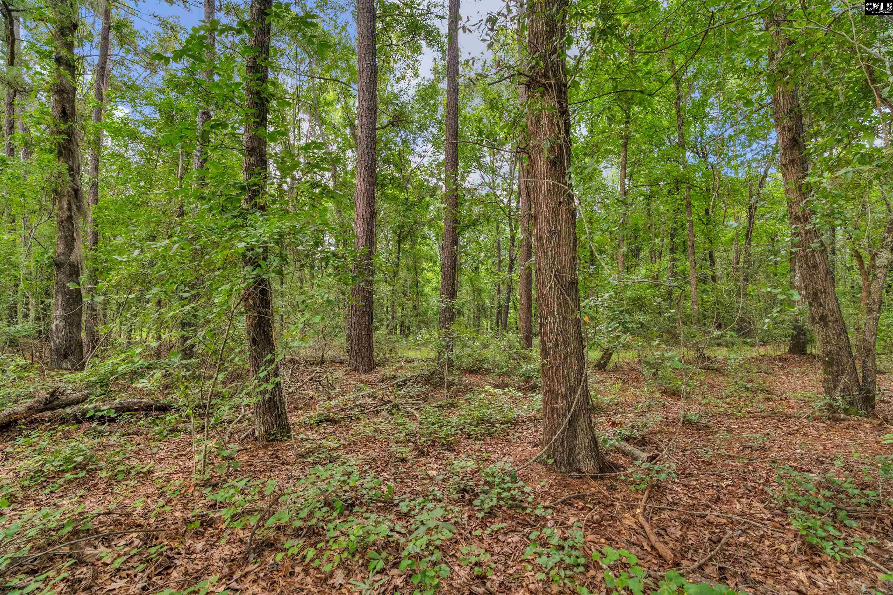 N Brewington #3, Manning, South Carolina image 39