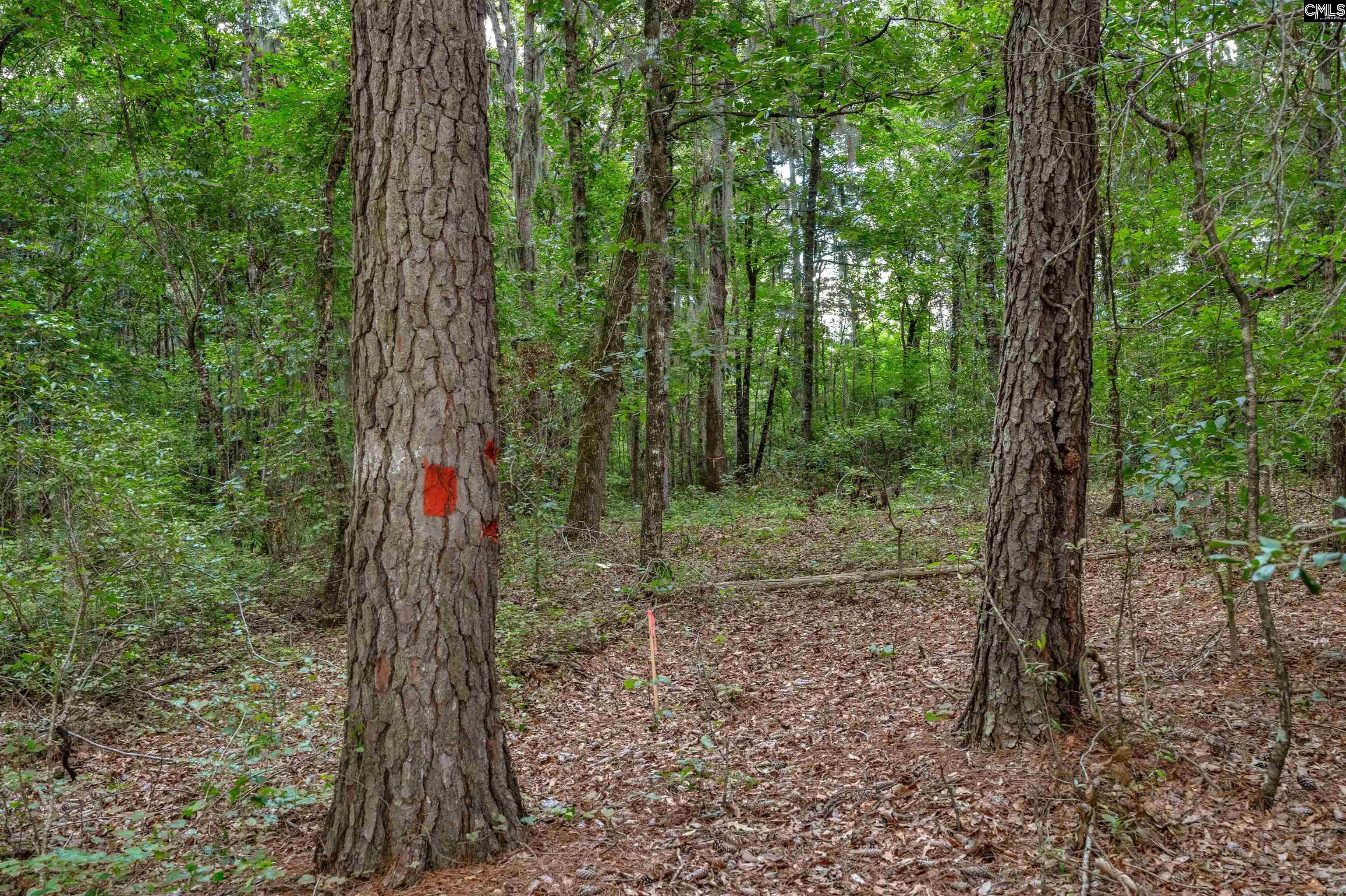 N Brewington #3, Manning, South Carolina image 40