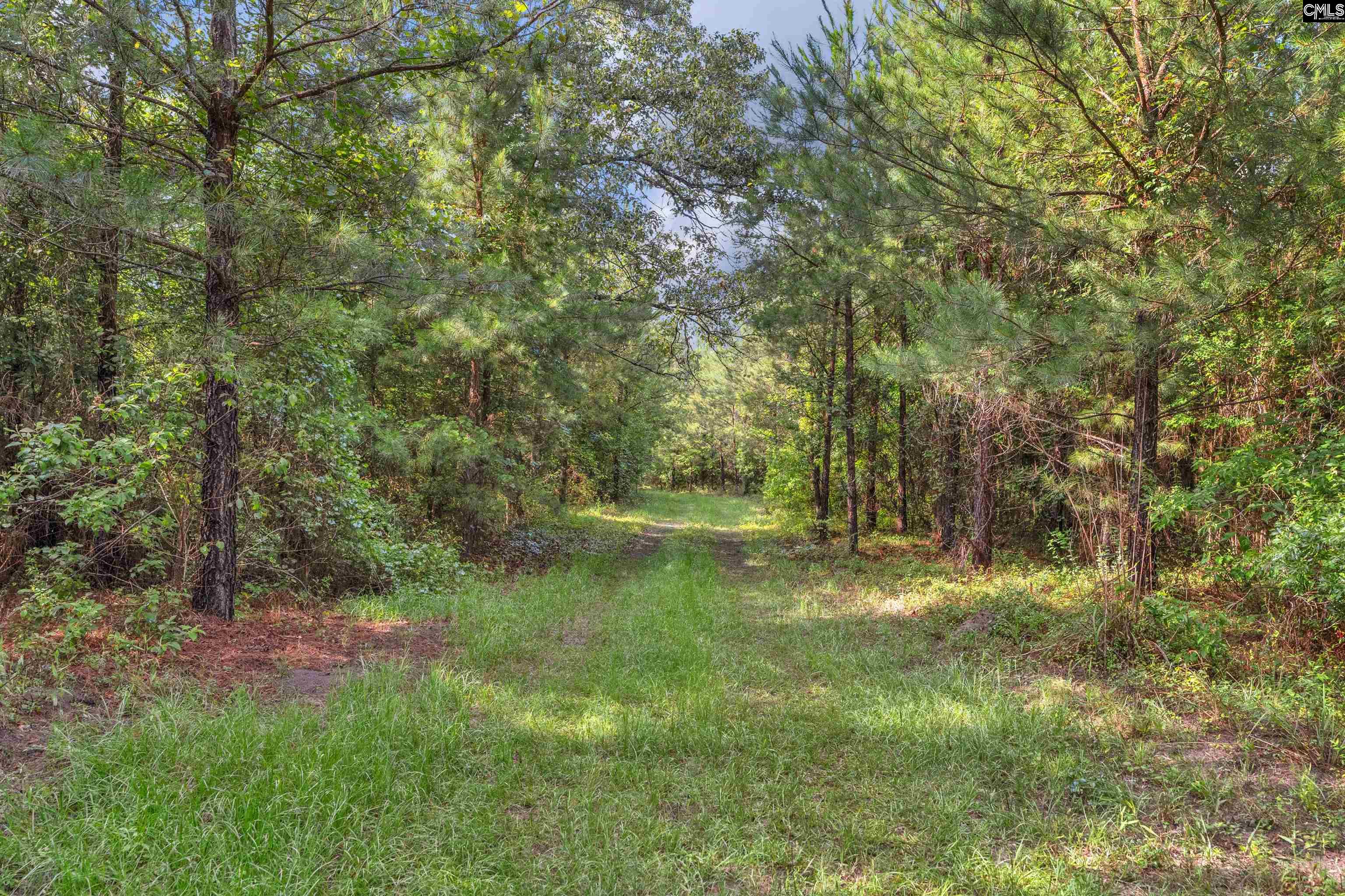 N Brewington #3, Manning, South Carolina image 41