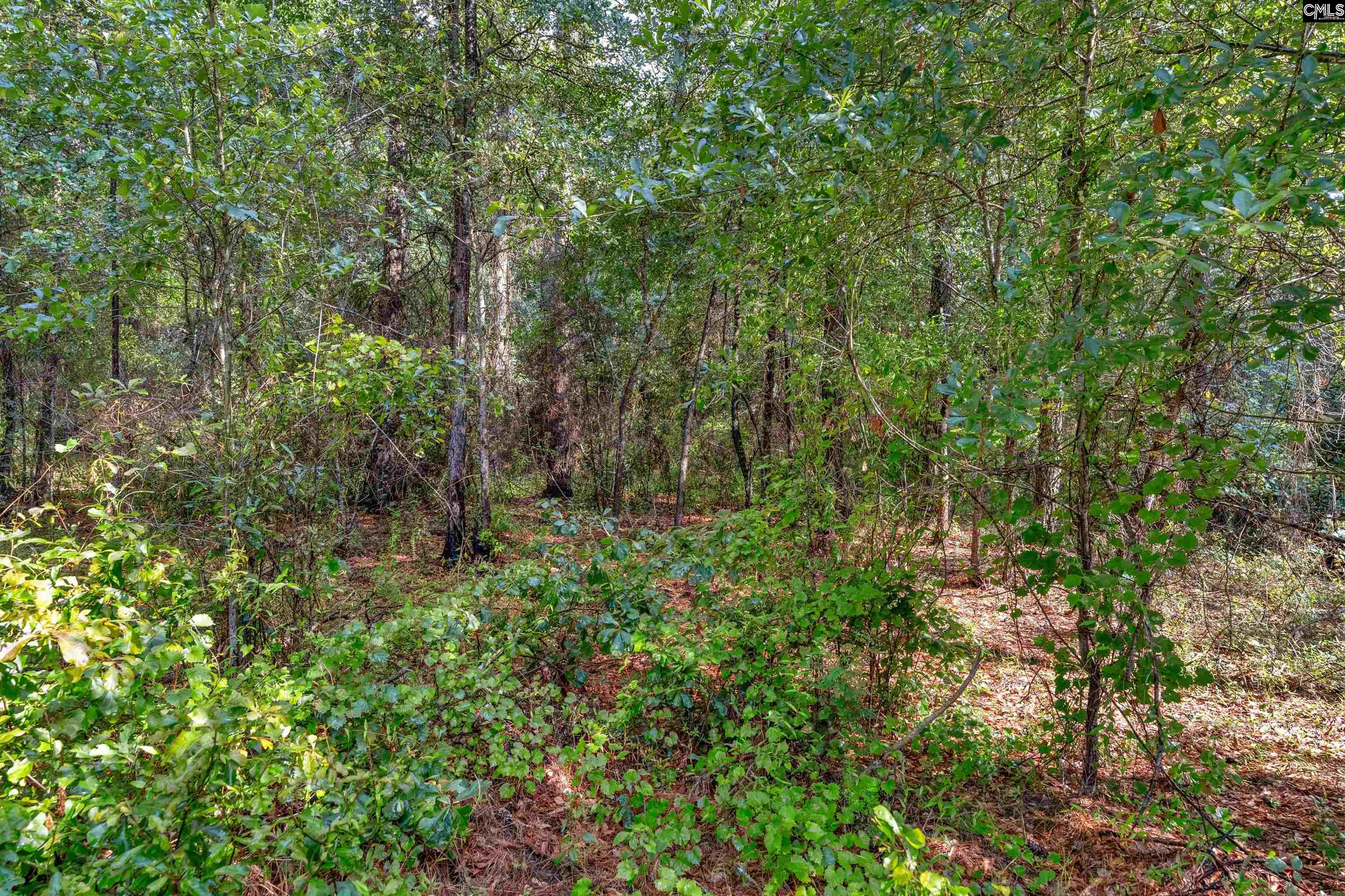 N Brewington #3, Manning, South Carolina image 44
