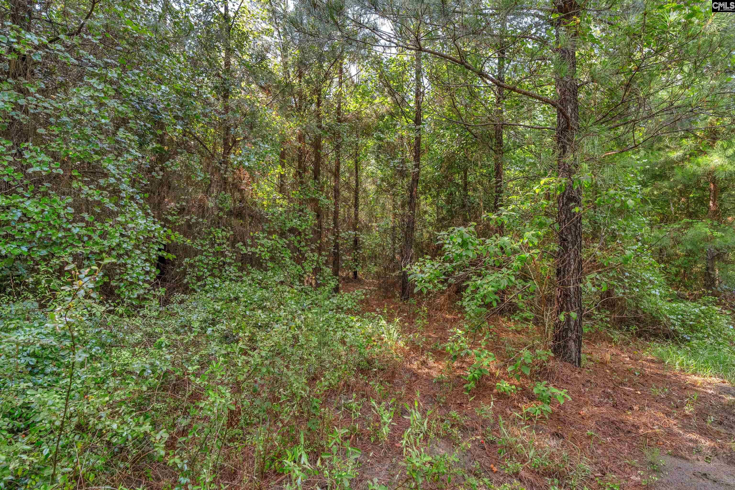 N Brewington #3, Manning, South Carolina image 45