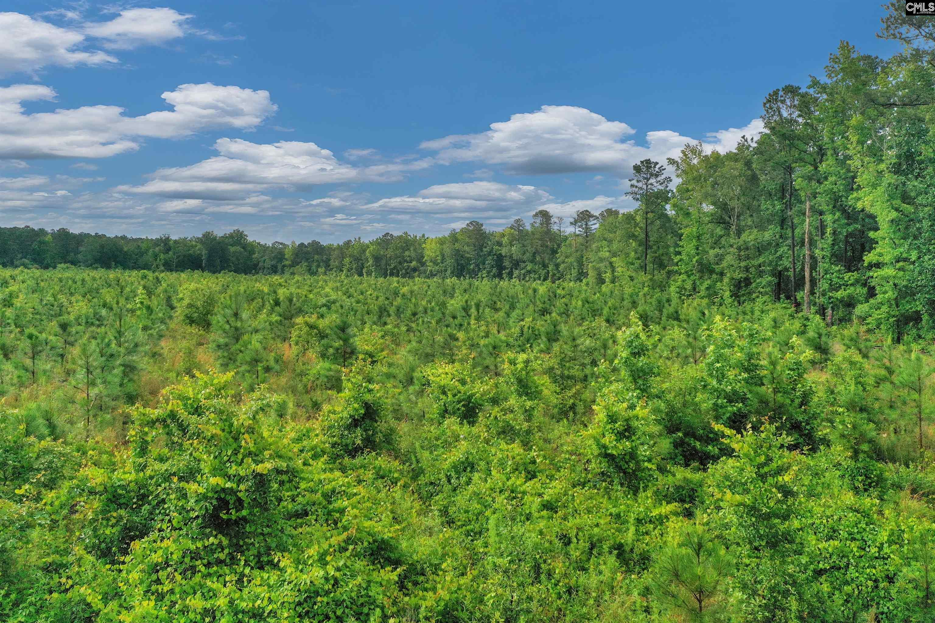 N Brewington #3, Manning, South Carolina image 7