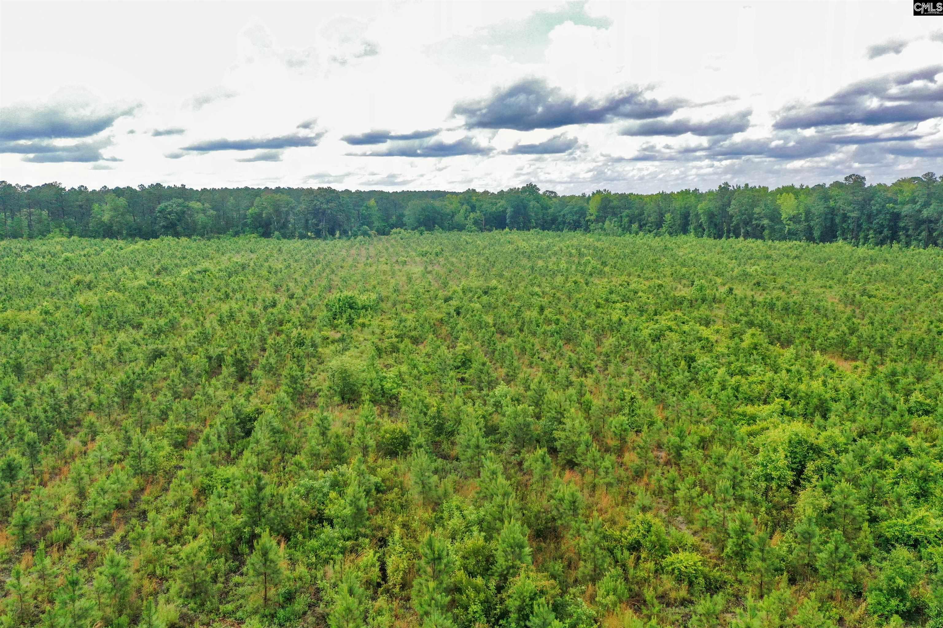 N Brewington #3, Manning, South Carolina image 9