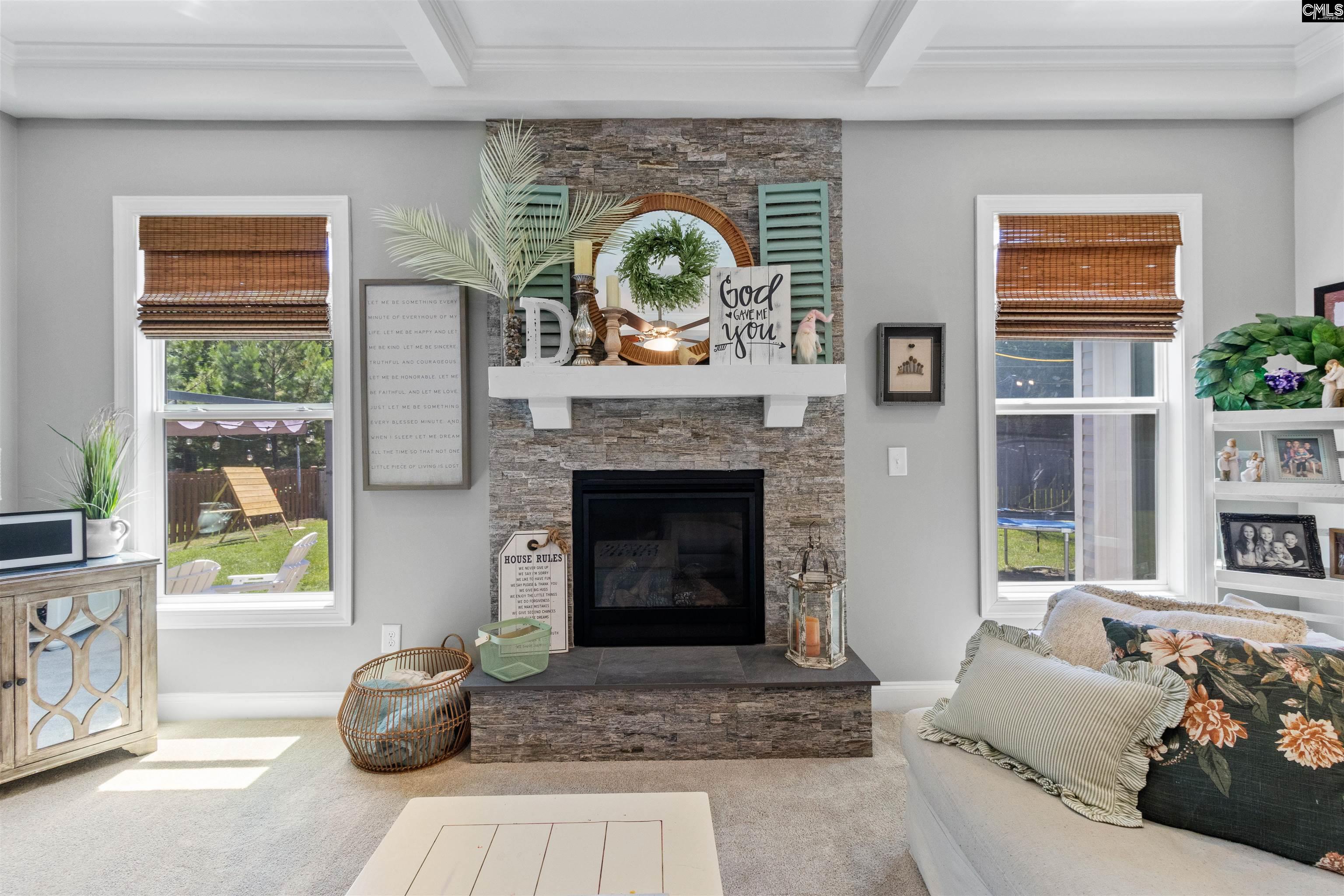 214 Chapin Brook Court, Chapin, South Carolina image 19