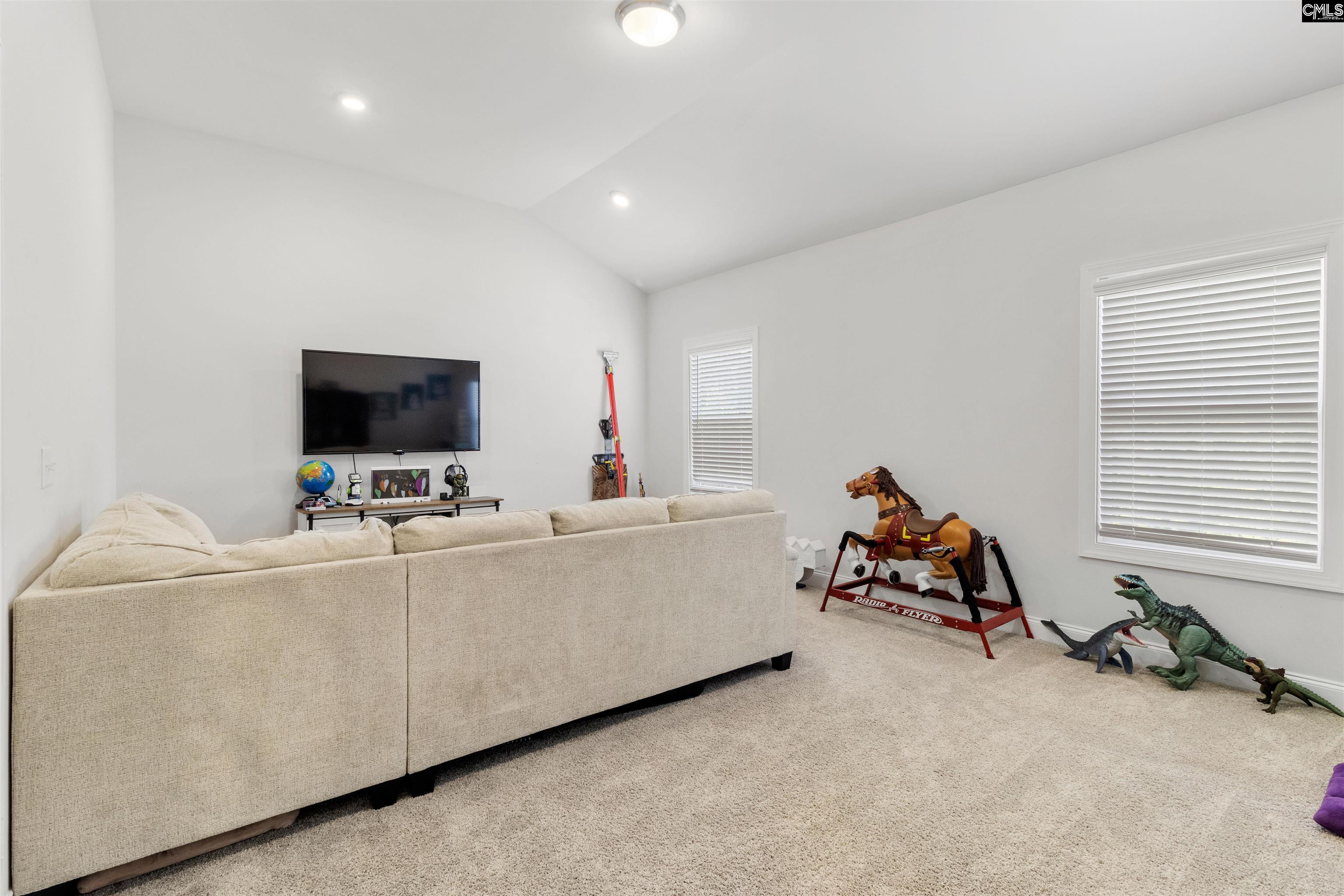 214 Chapin Brook Court, Chapin, South Carolina image 37