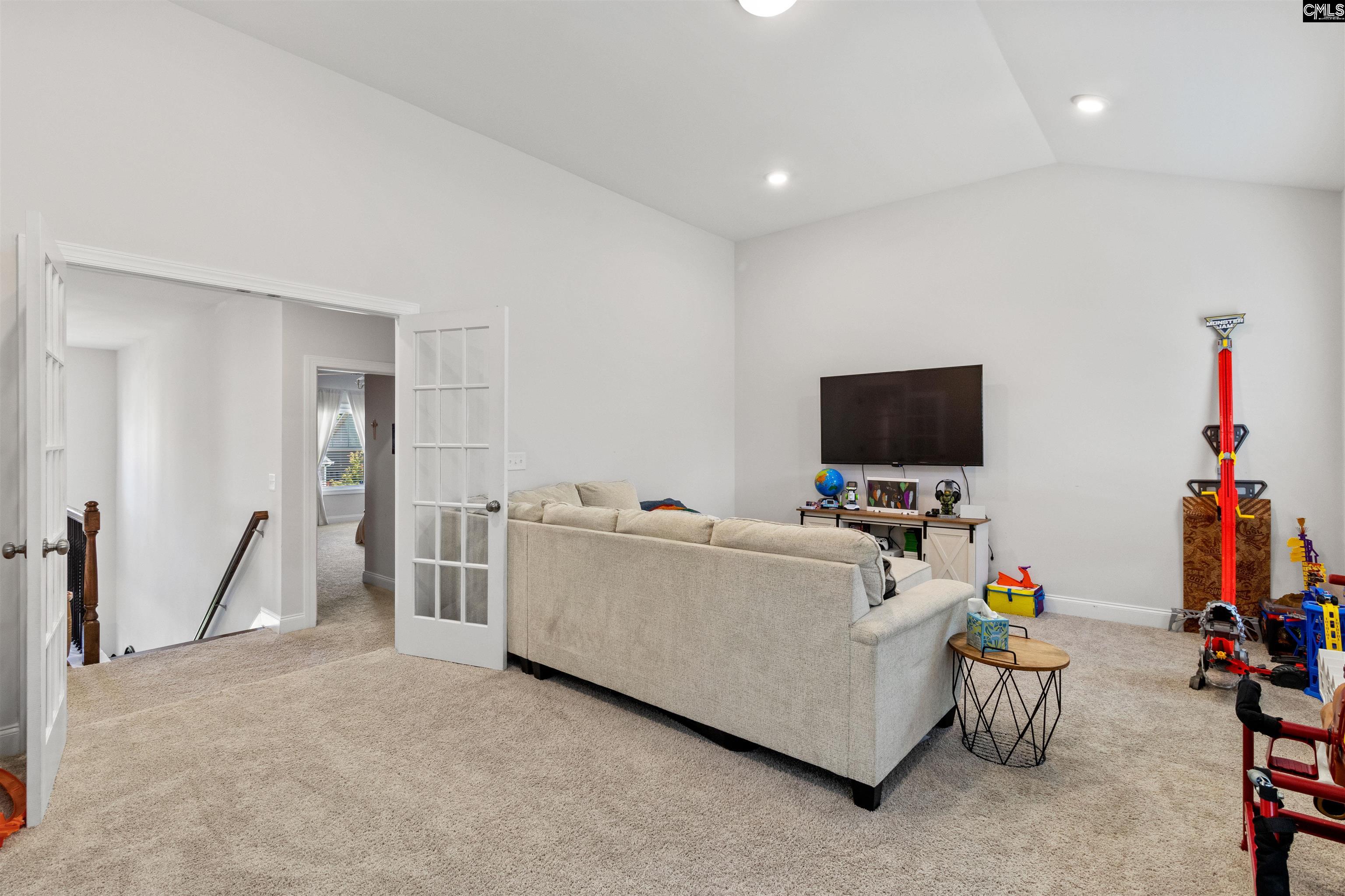 214 Chapin Brook Court, Chapin, South Carolina image 38