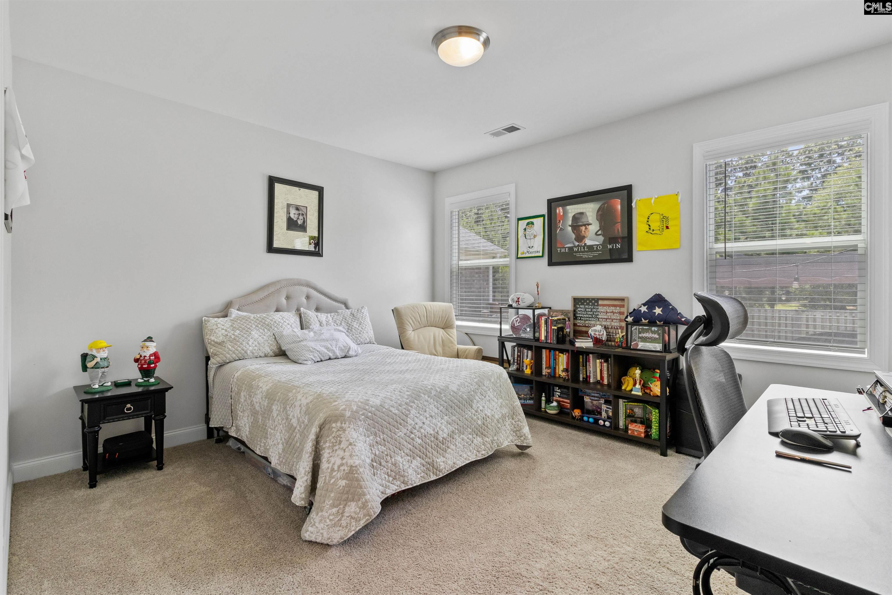 214 Chapin Brook Court, Chapin, South Carolina image 45