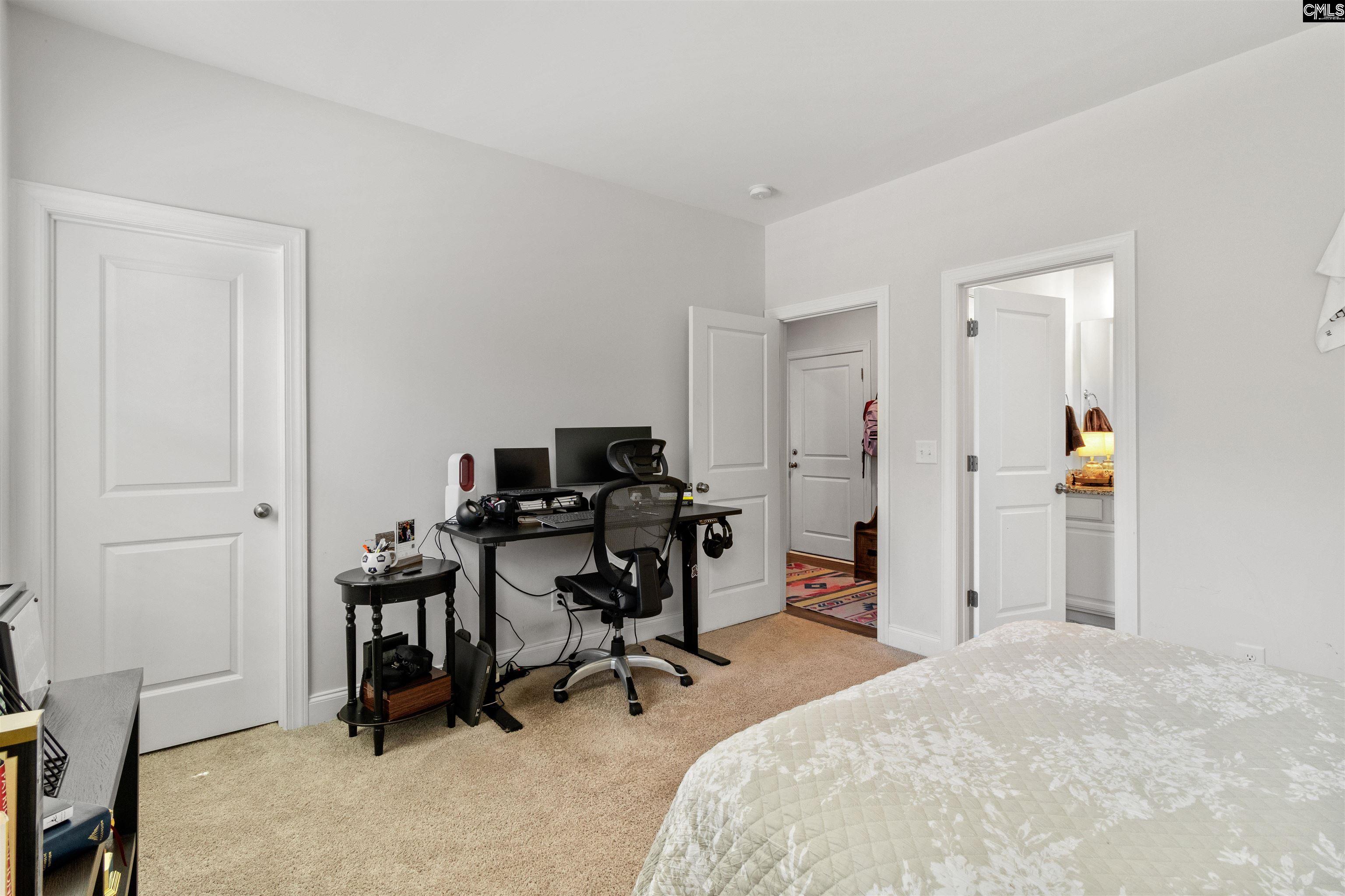 214 Chapin Brook Court, Chapin, South Carolina image 47