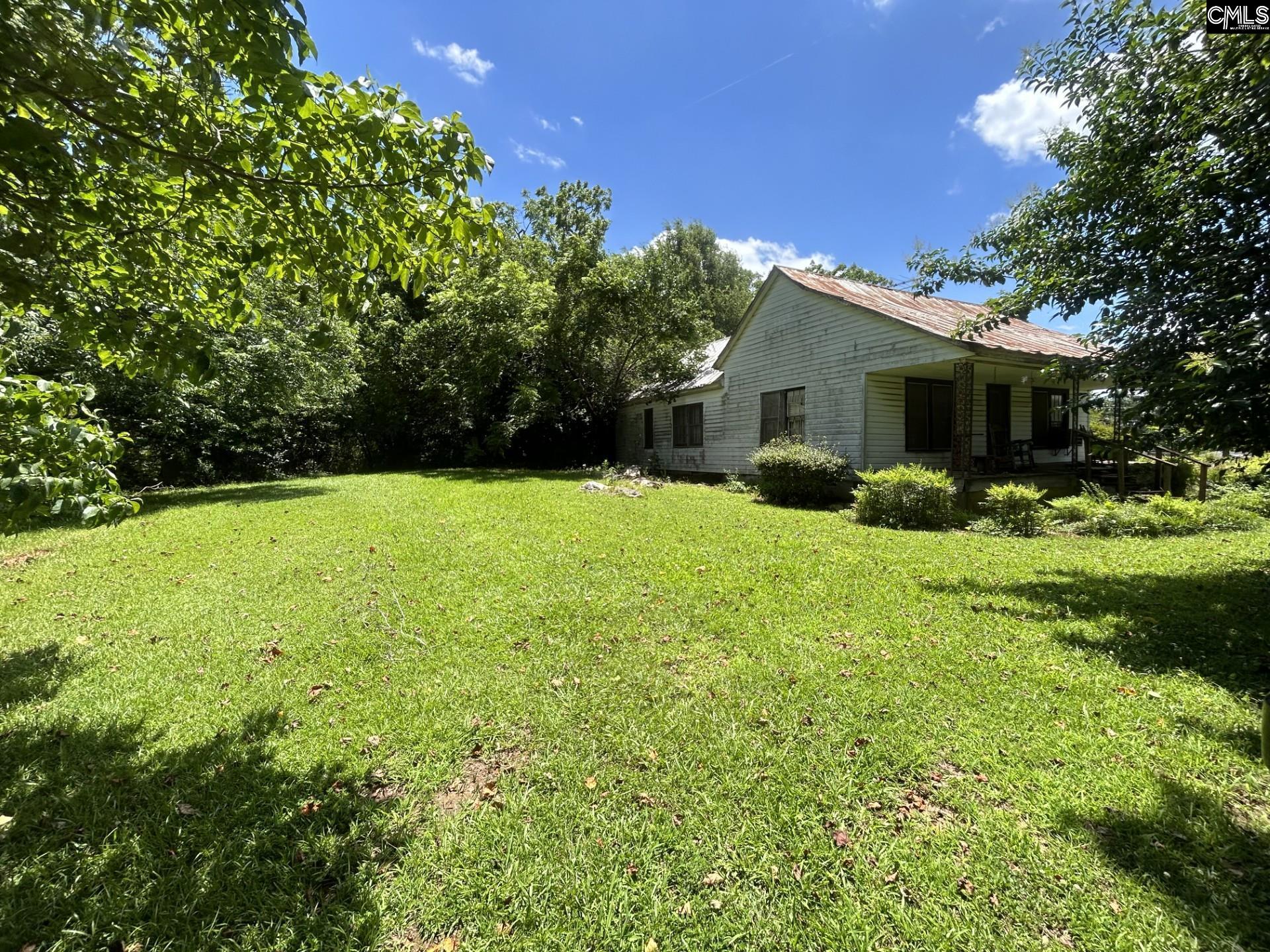 110 Peak Street Chapin, SC 29036