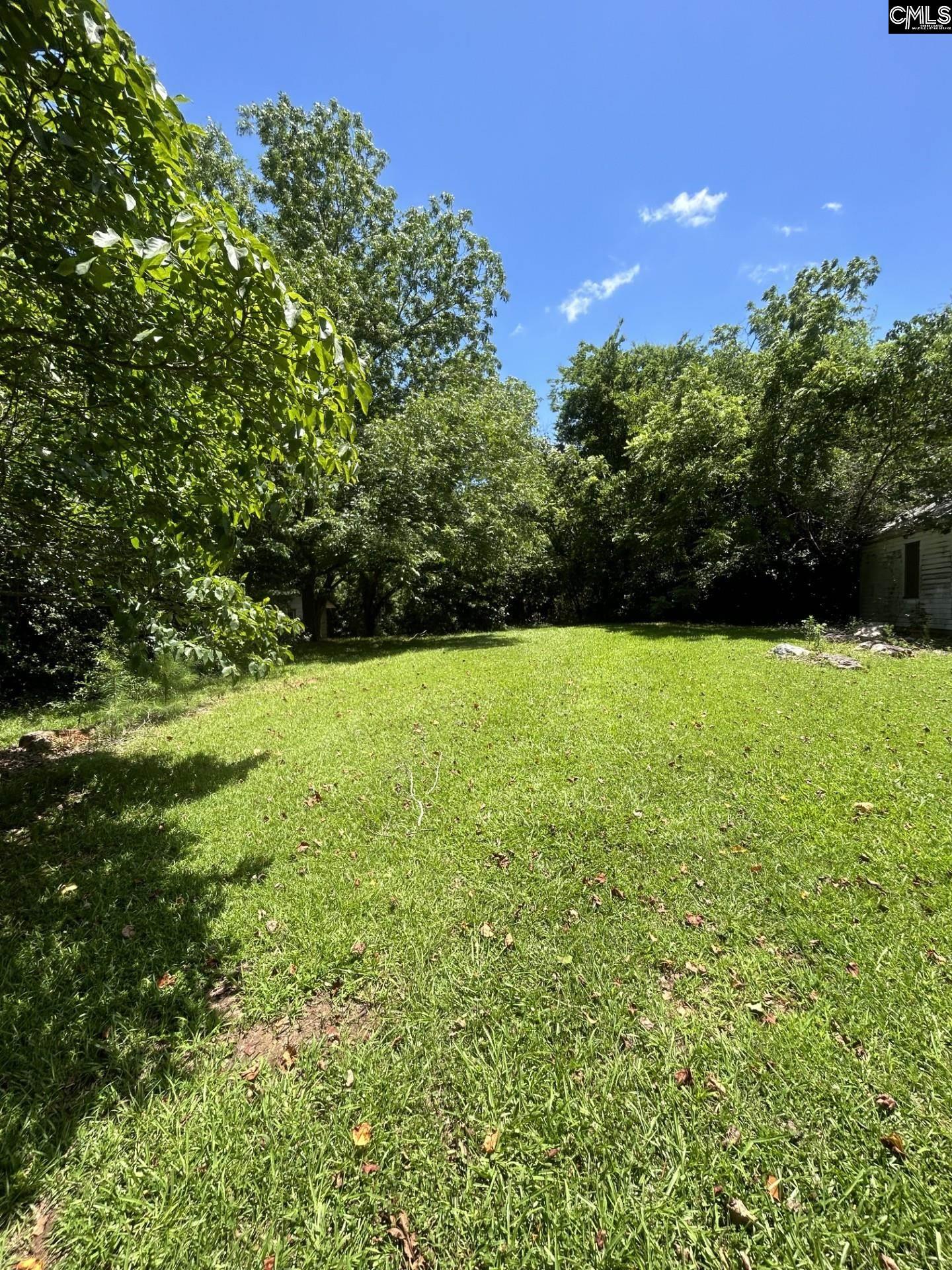 110 Peak Street Chapin, SC 29036