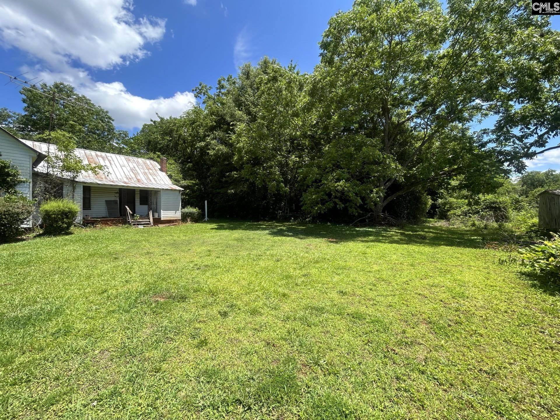 110 Peak Street Chapin, SC 29036