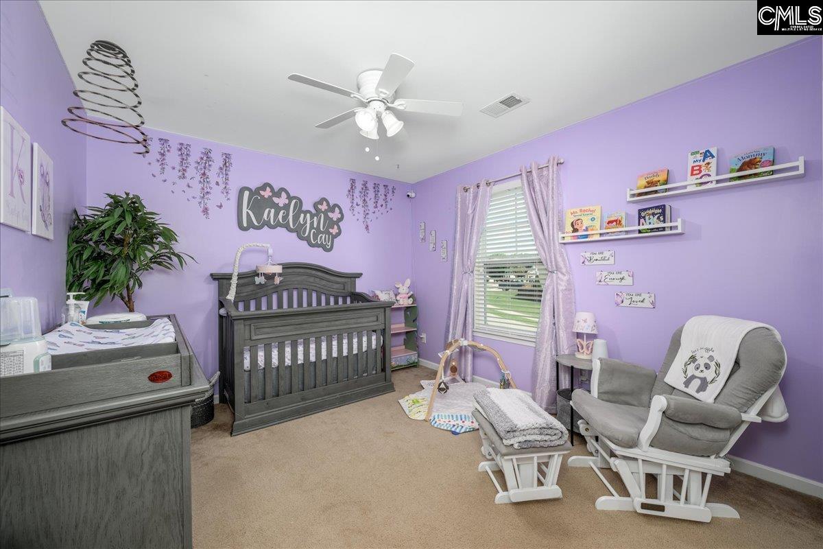 620 Blue Ledge Circle, Lexington, South Carolina image 22