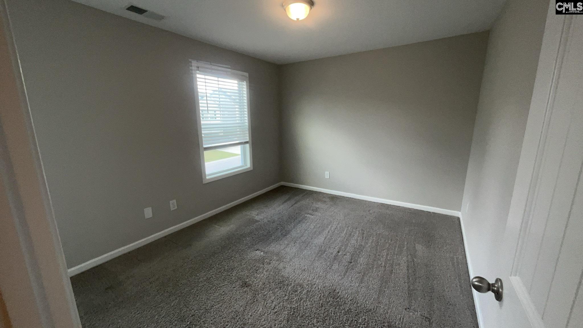 1020 Winter Way, Lexington, South Carolina image 17