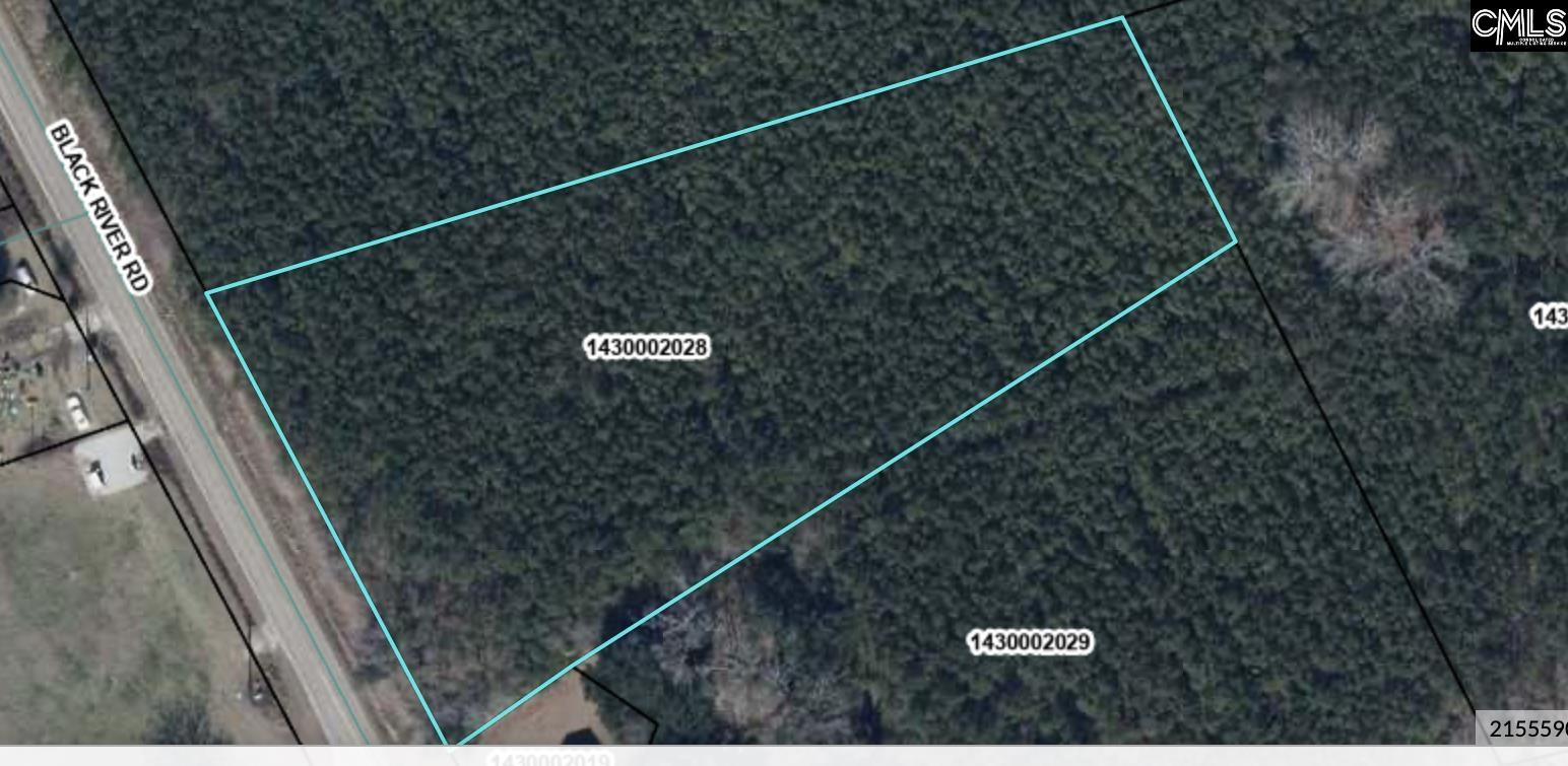 00 Black River Road, Rembert, South Carolina image 9