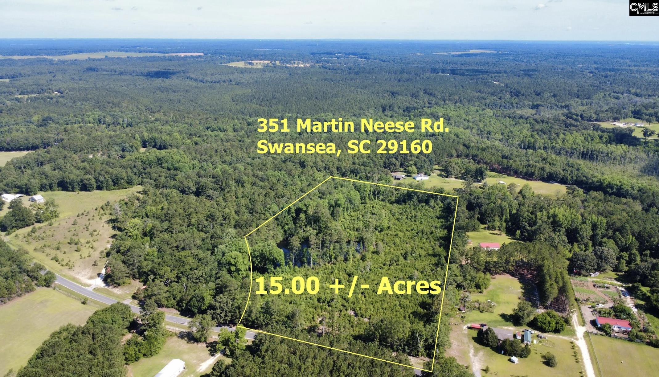 351 Martin Neese Road, Swansea, South Carolina image 2