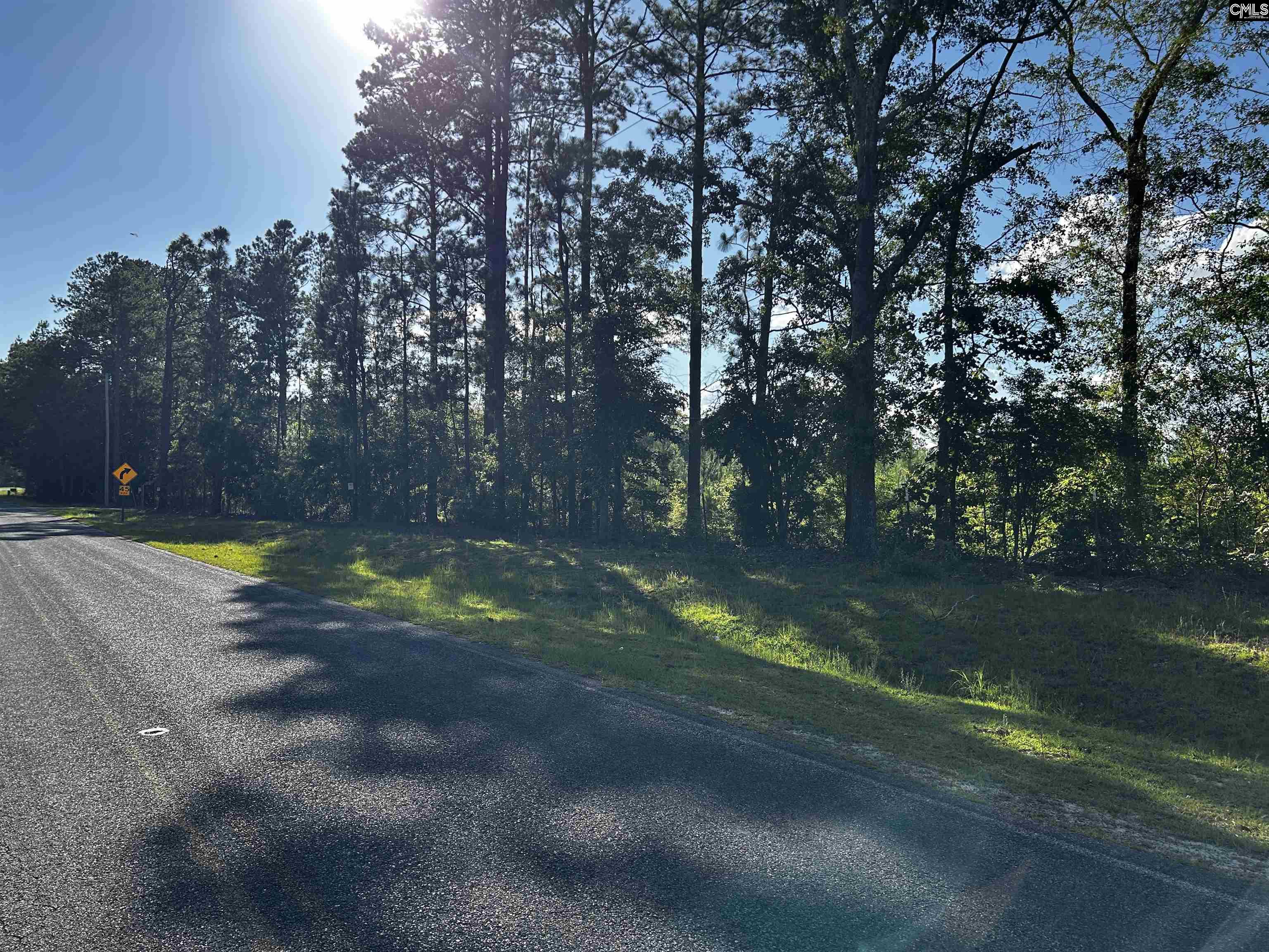 351 Martin Neese Road, Swansea, South Carolina image 12