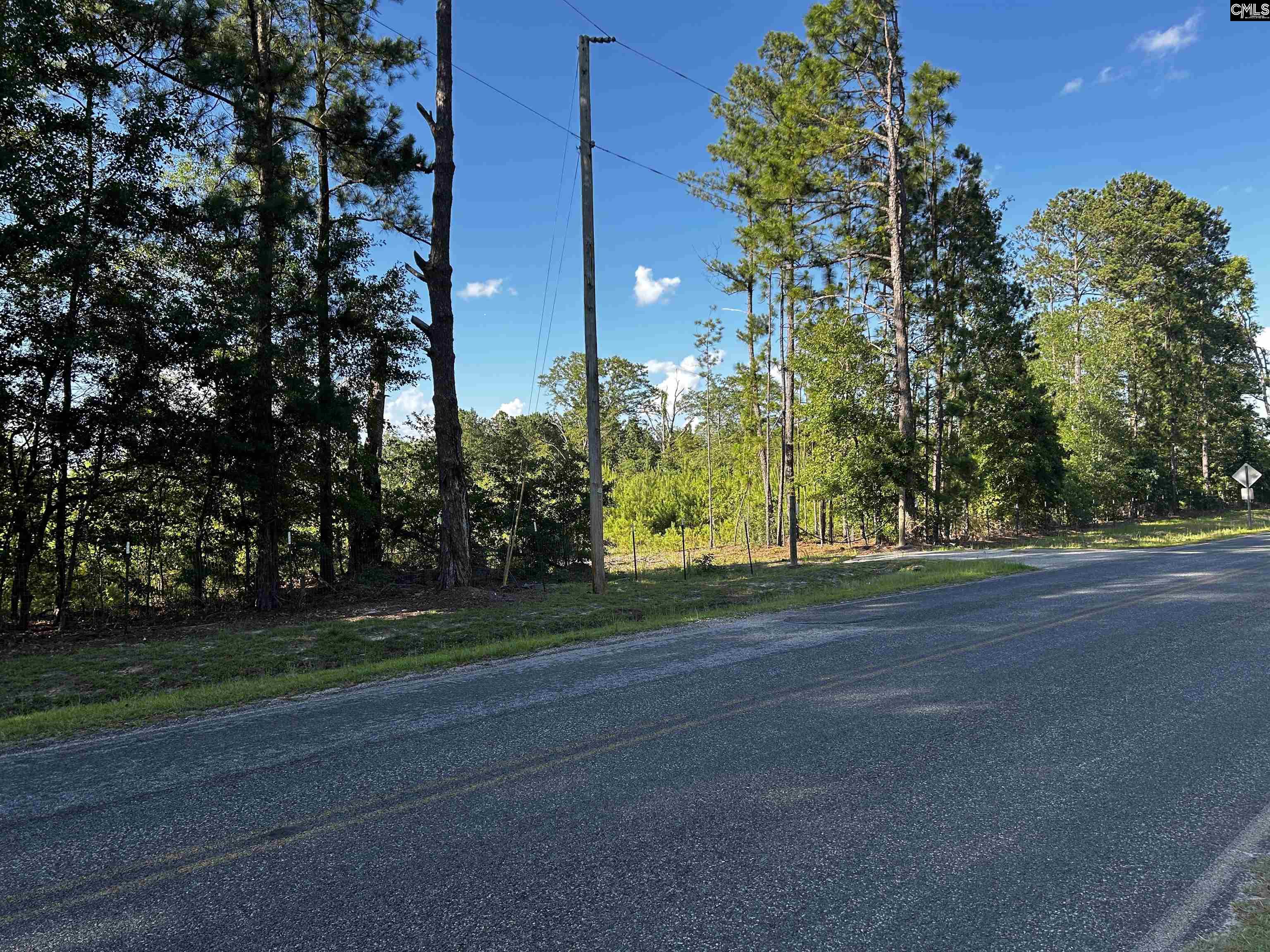 351 Martin Neese Road, Swansea, South Carolina image 13