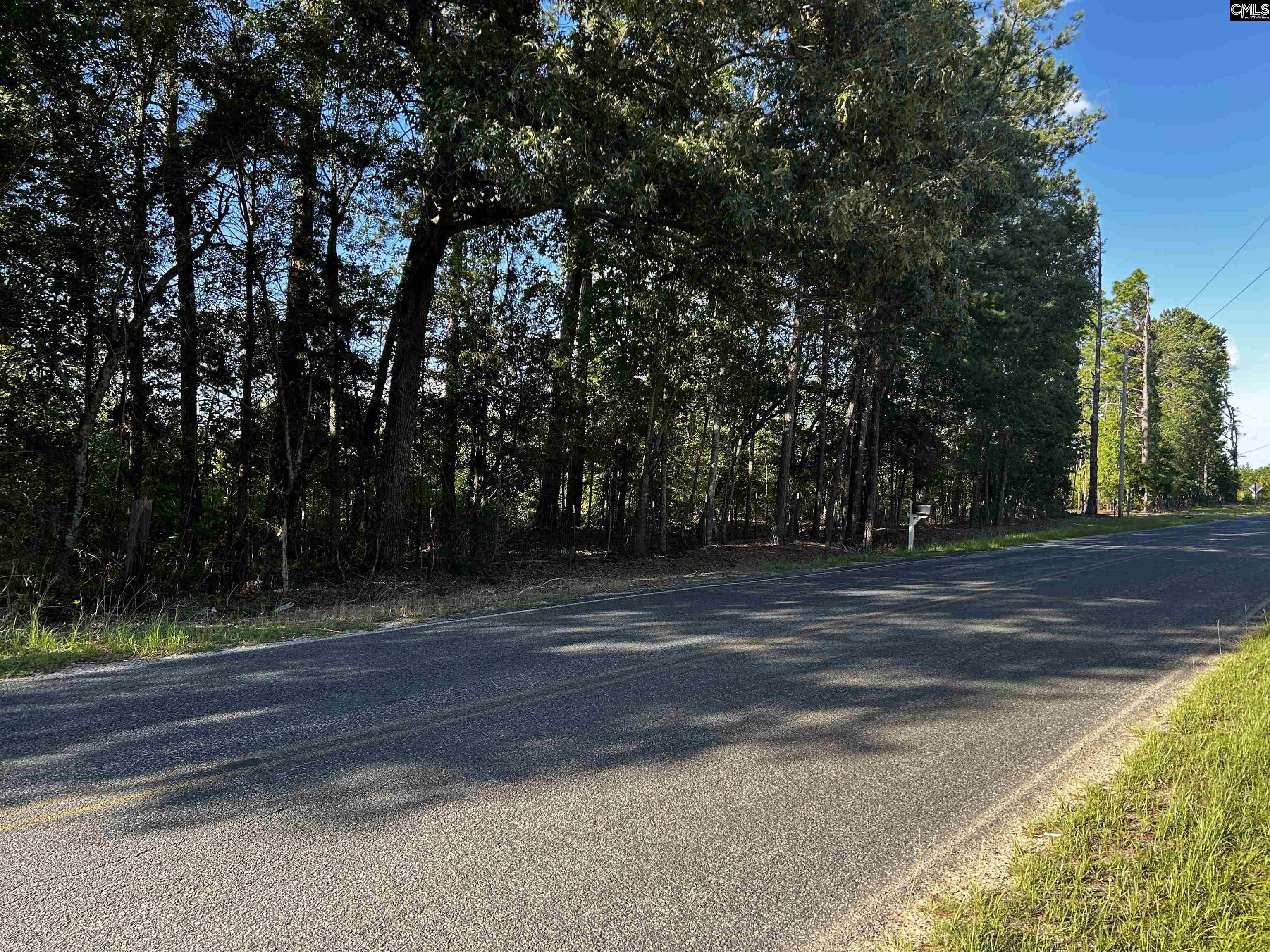 351 Martin Neese Road, Swansea, South Carolina image 14