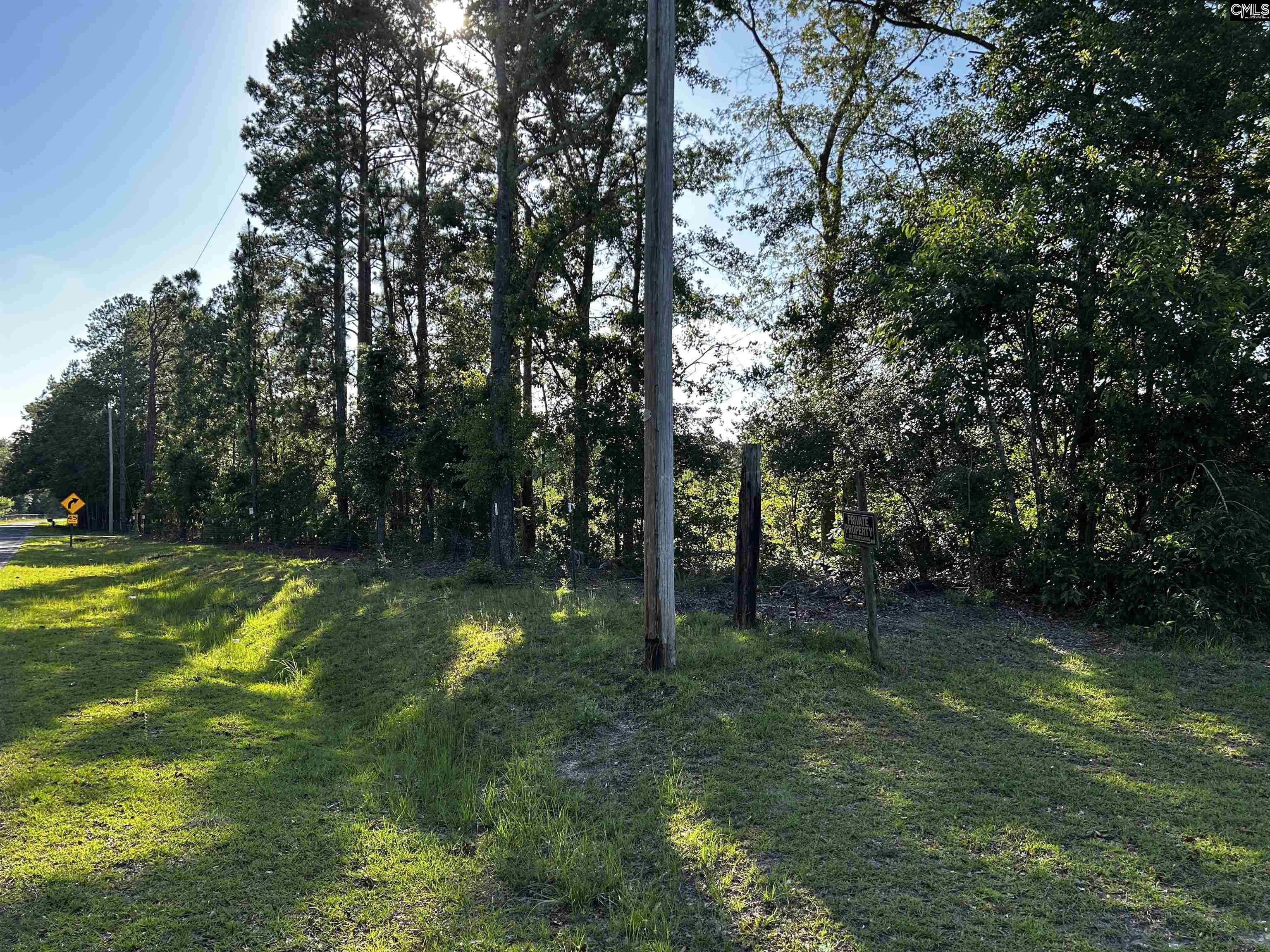 351 Martin Neese Road, Swansea, South Carolina image 15