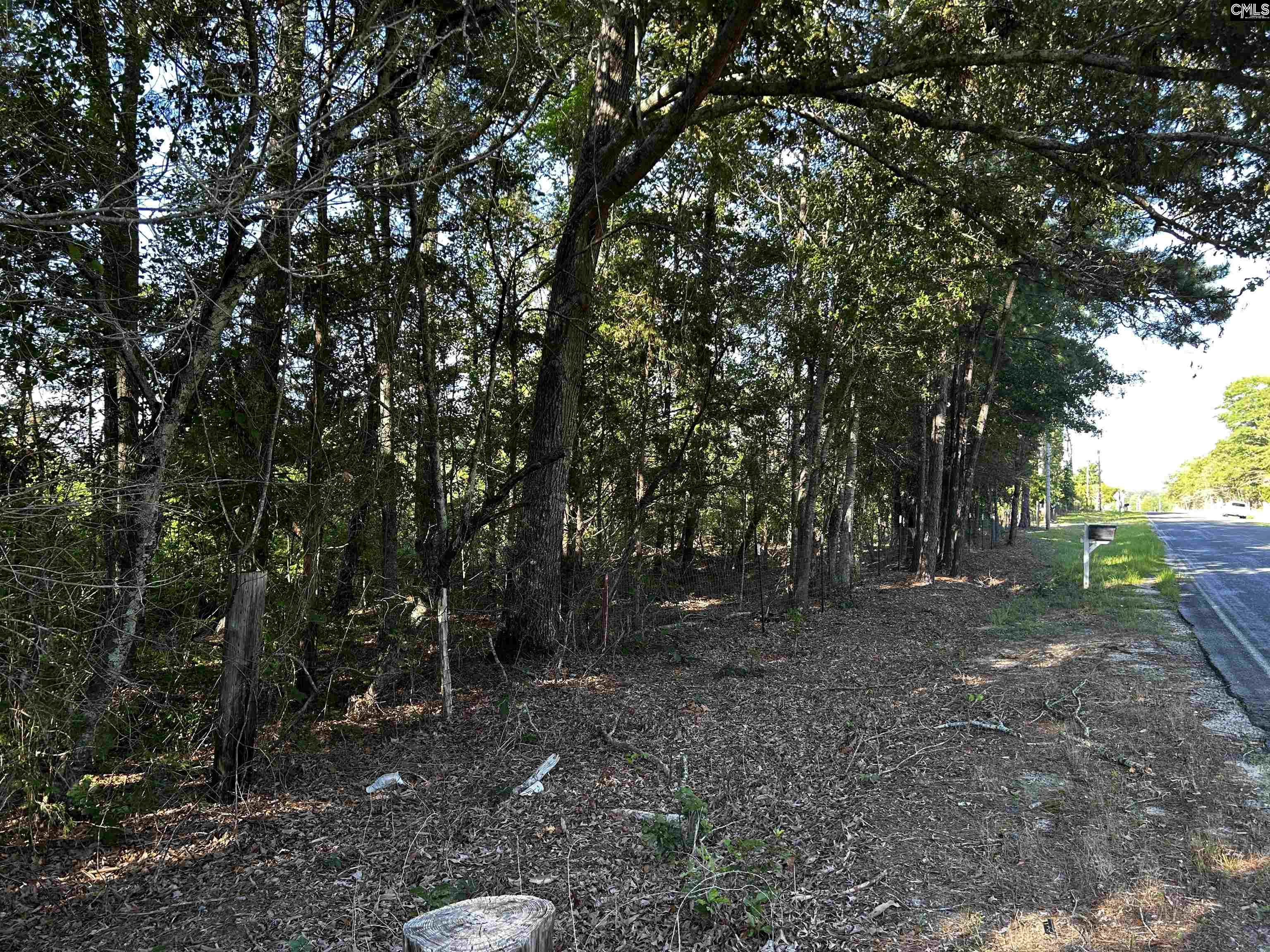 351 Martin Neese Road, Swansea, South Carolina image 16