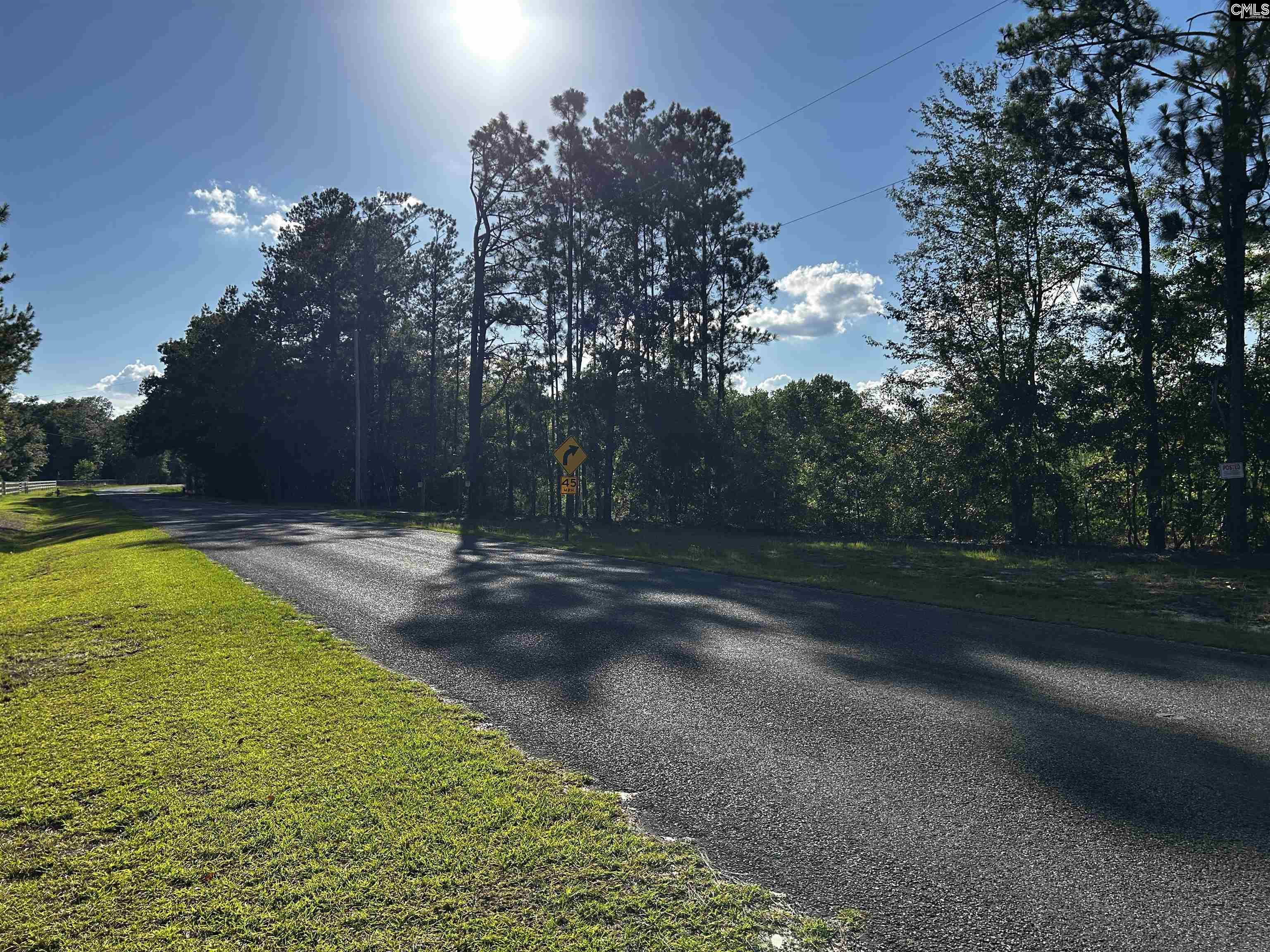 351 Martin Neese Road, Swansea, South Carolina image 17