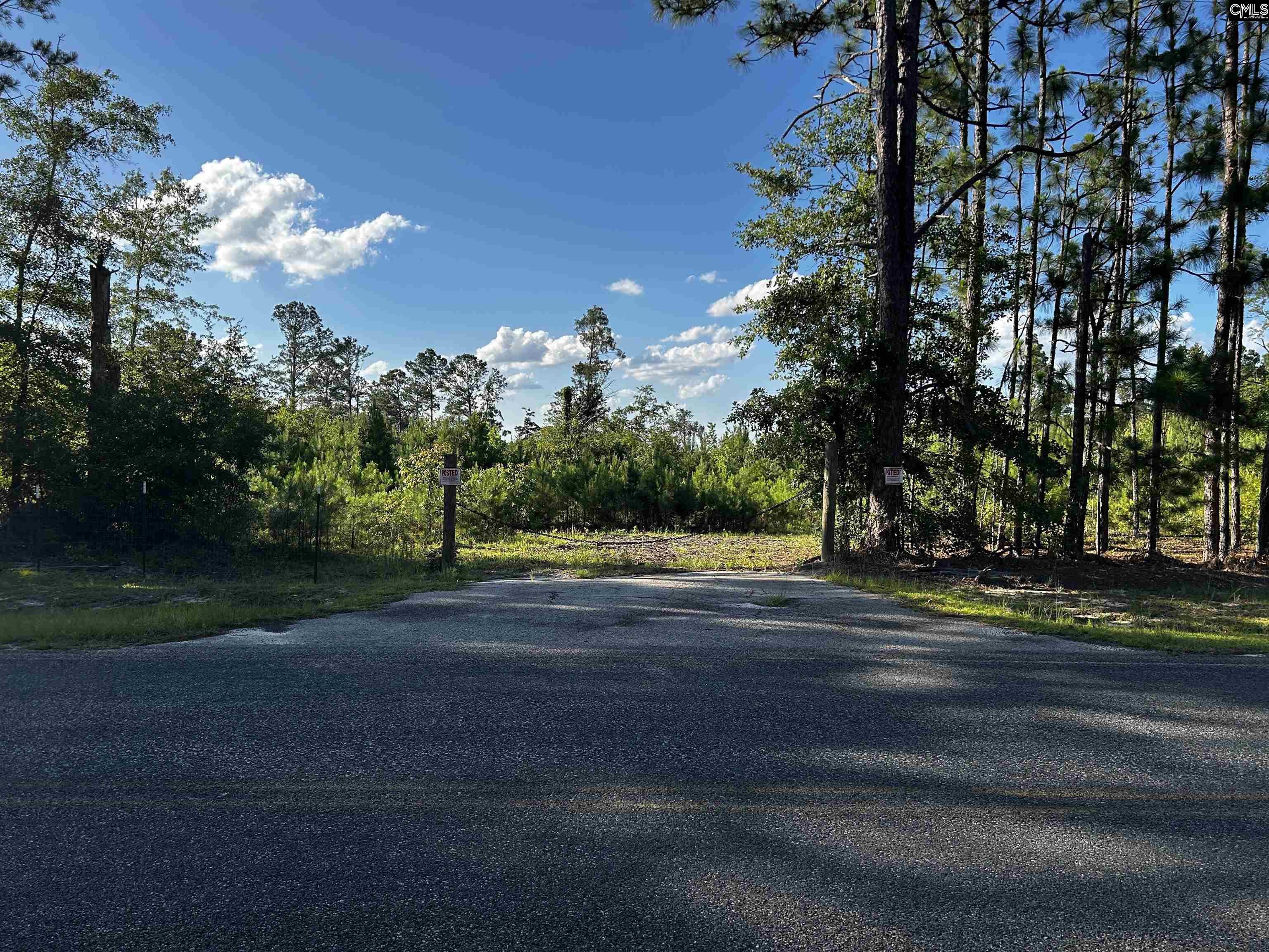 351 Martin Neese Road, Swansea, South Carolina image 3