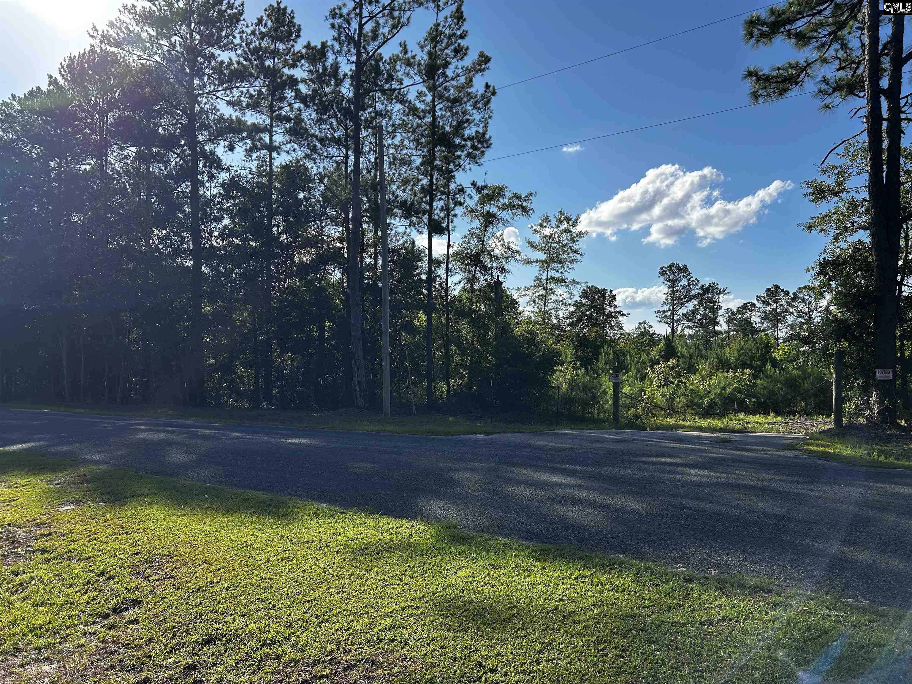 351 Martin Neese Road, Swansea, South Carolina image 4