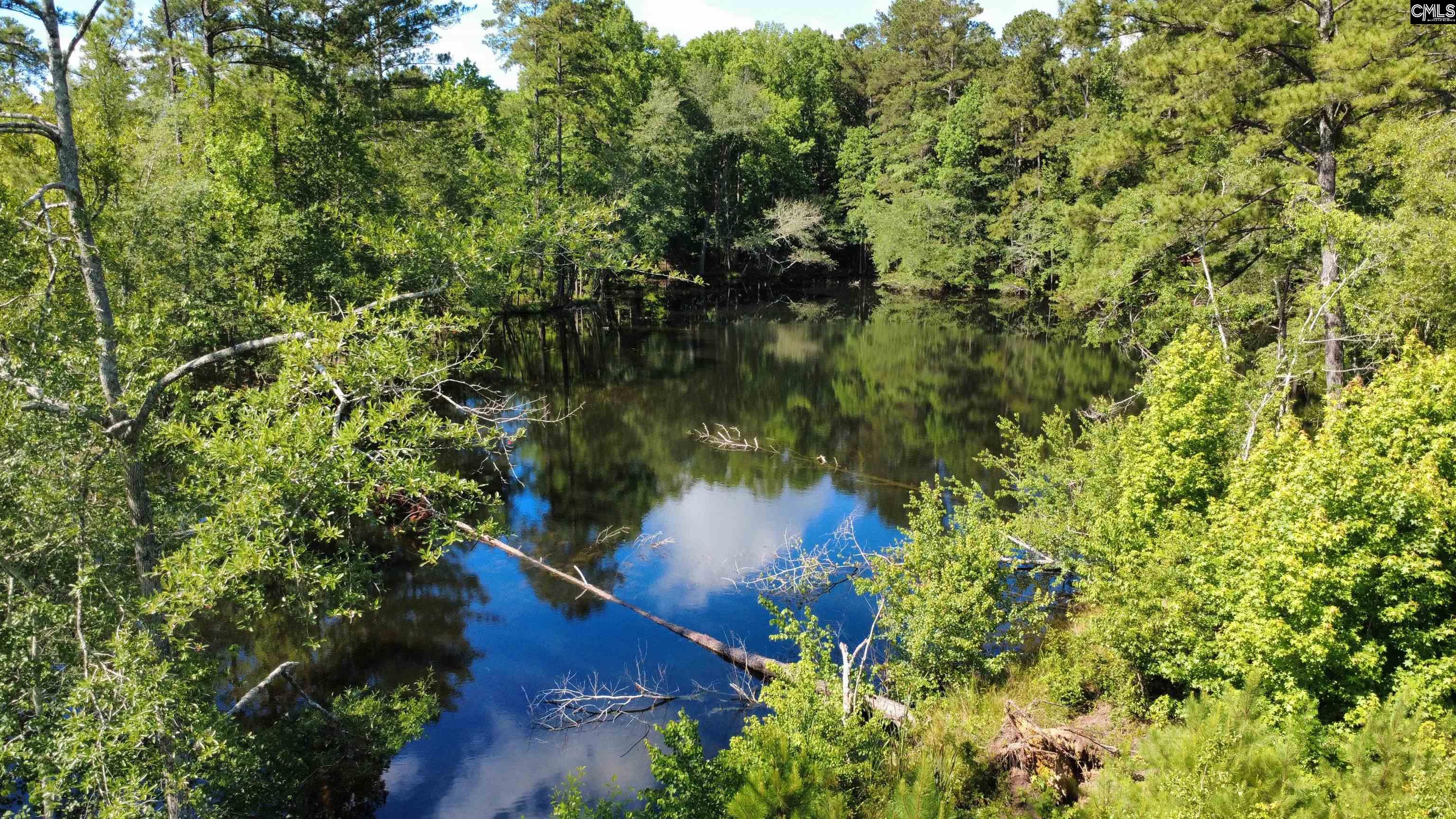 351 Martin Neese Road, Swansea, South Carolina image 5