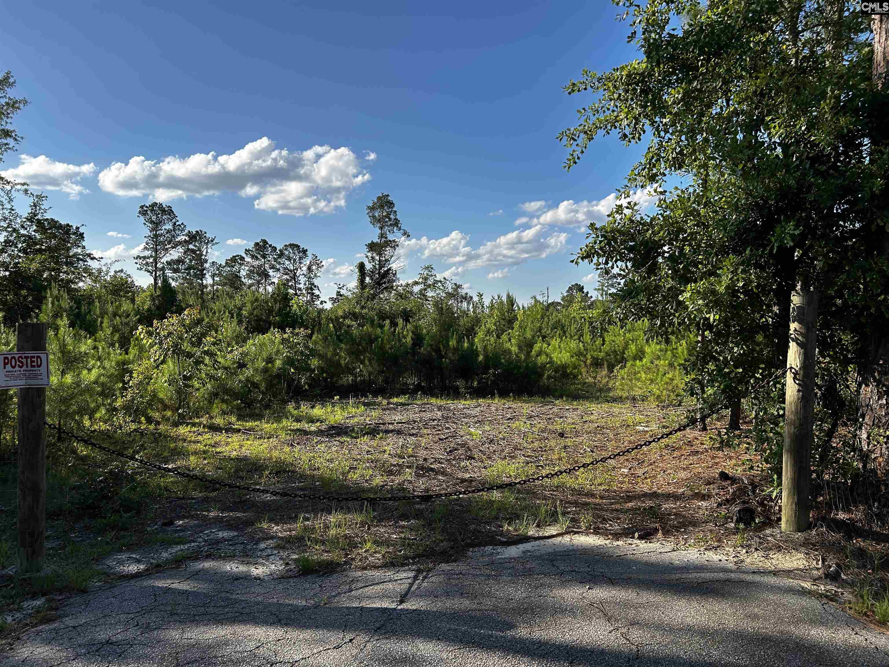 351 Martin Neese Road, Swansea, South Carolina image 7